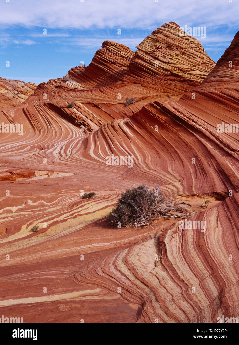 Cross-bedded beehive colorful Navajo Sandstone Vermilion Cliffs National Monument Paria-Vermilion Cliffs Wilderness Arizona. Stock Photo