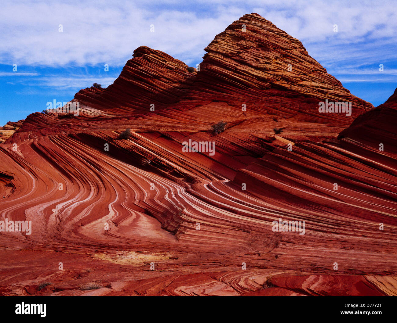 Cross-bedded beehive colorful Navajo Sandstone Vermilion Cliffs National Monument Paria-Vermilion Cliffs Wilderness Arizona. Stock Photo