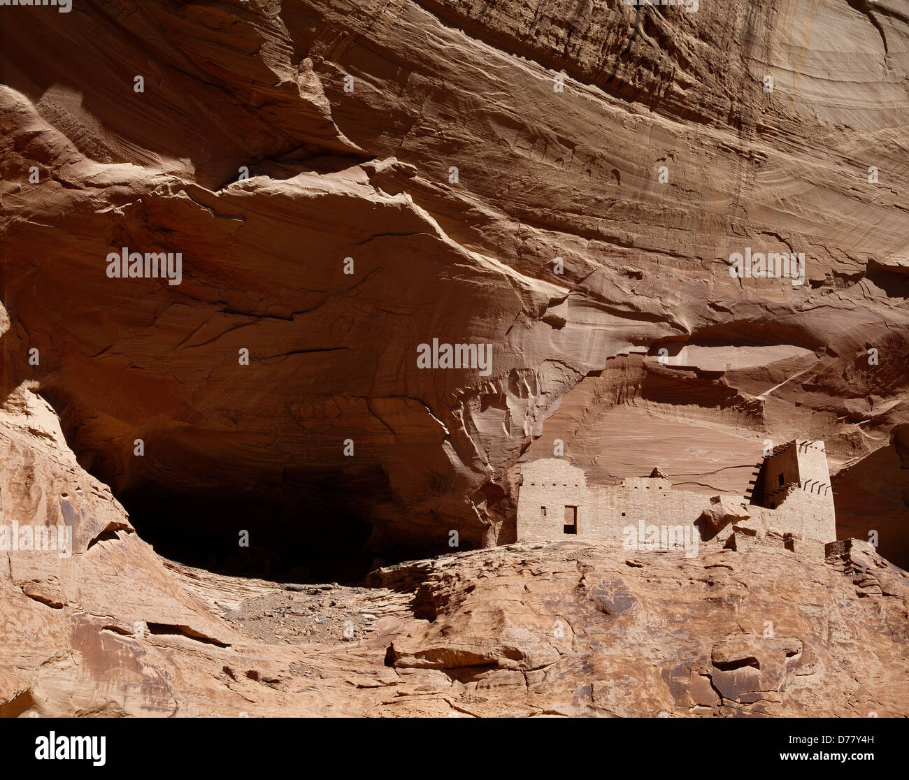 Mummy Cave Ruin Ancestral Pueblo Dwelling in Canyon del Muerto Canyon de Chelly National Monument Arizona. Stock Photo