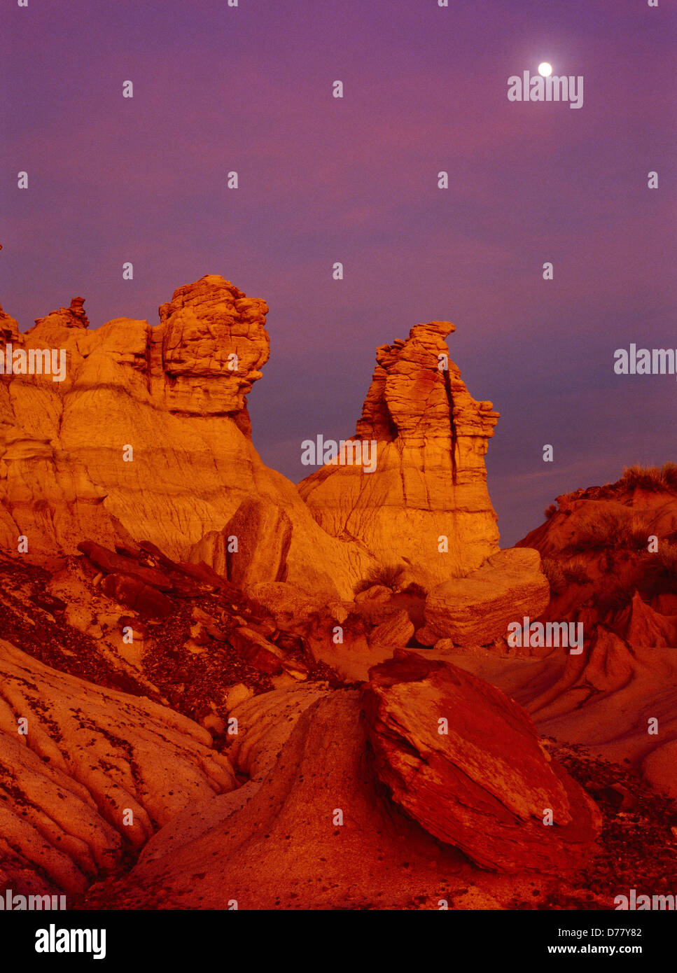 Moon rising over Chinle Formation badlands at dusk Blue Mesa Petrified