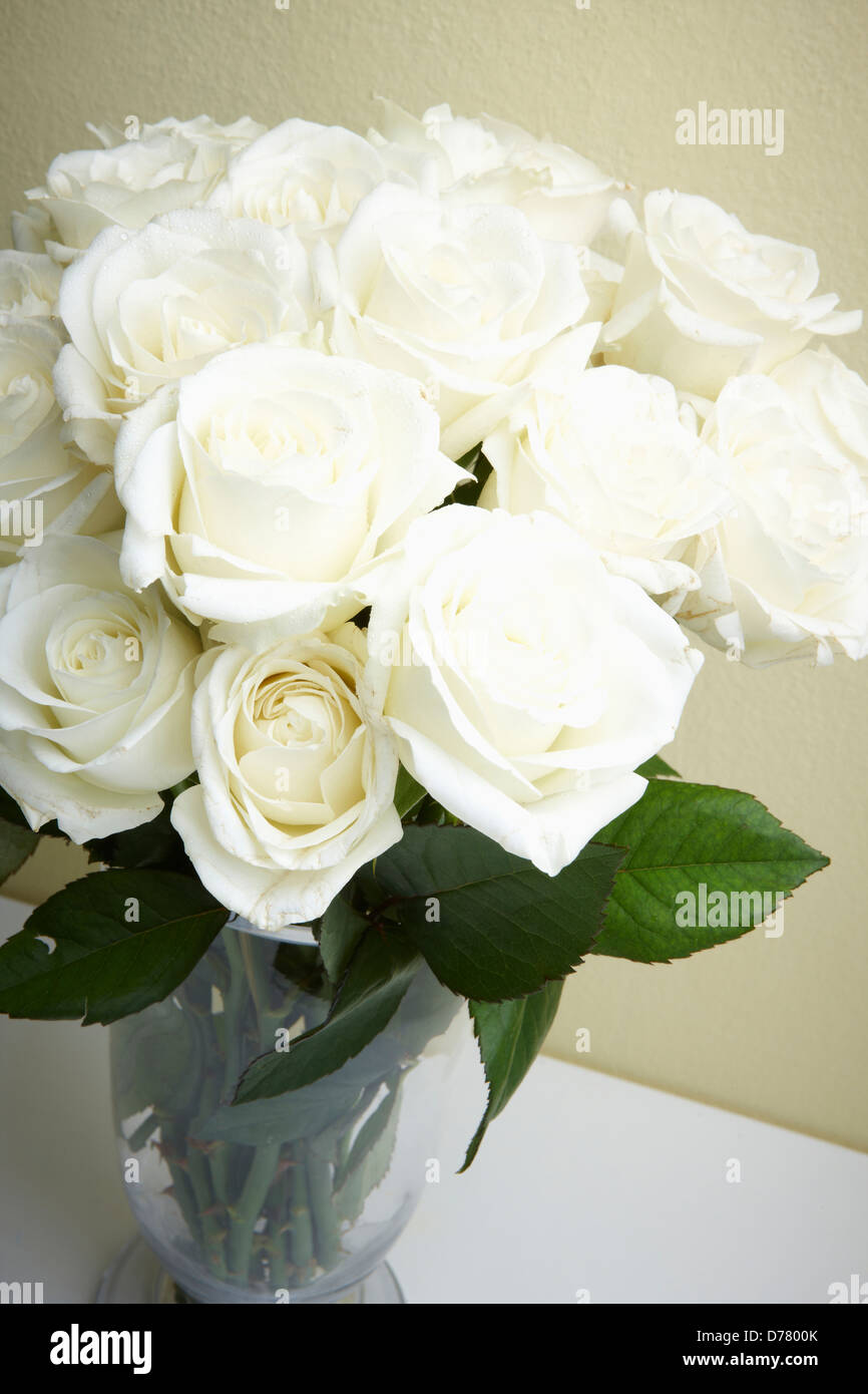 white flowers in glass vase Stock Photo Alamy