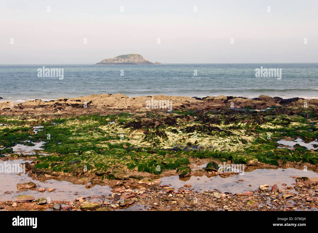 Looking towards the island of Craigleith from North Berwick in East