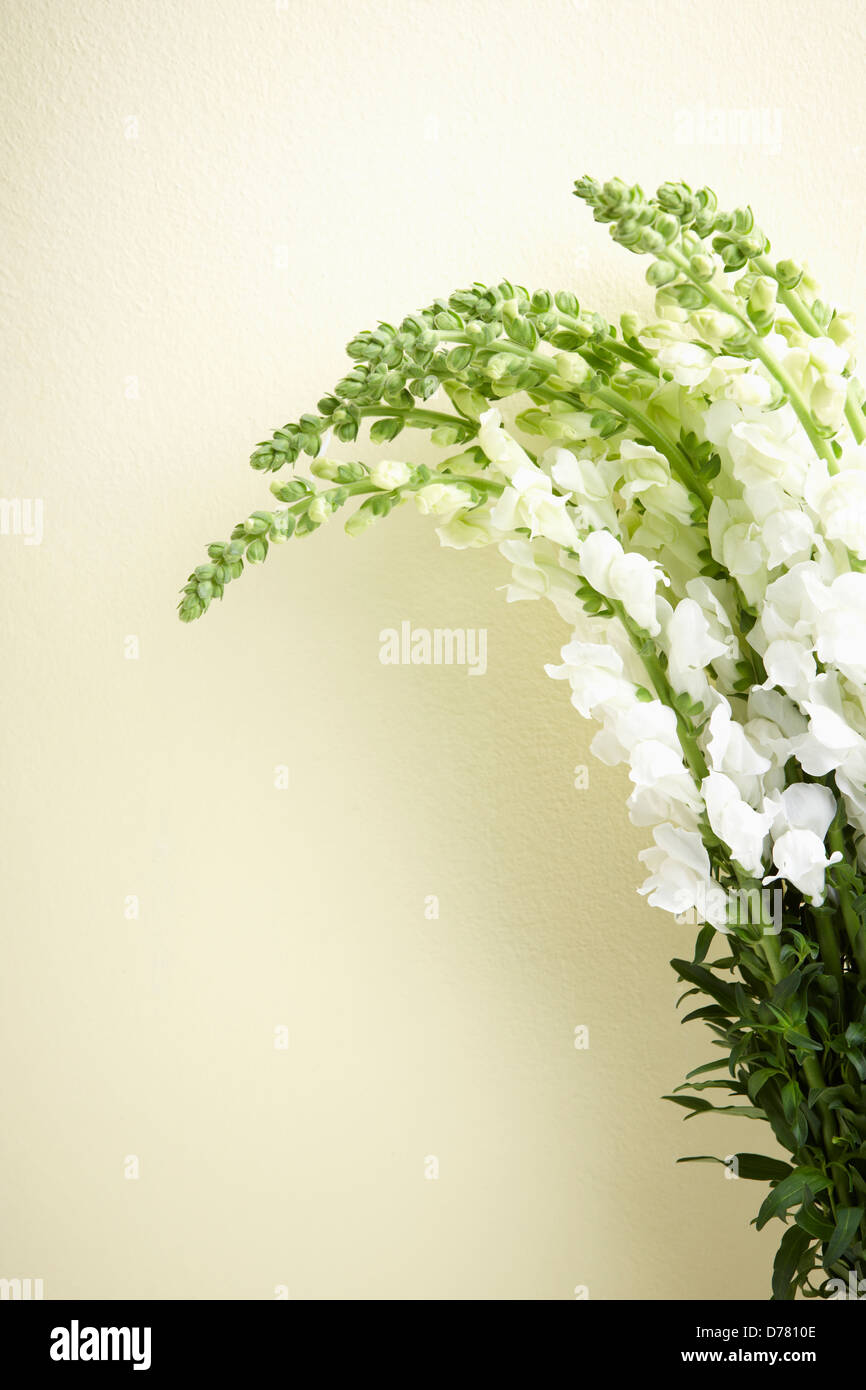 white and green flowers Stock Photo