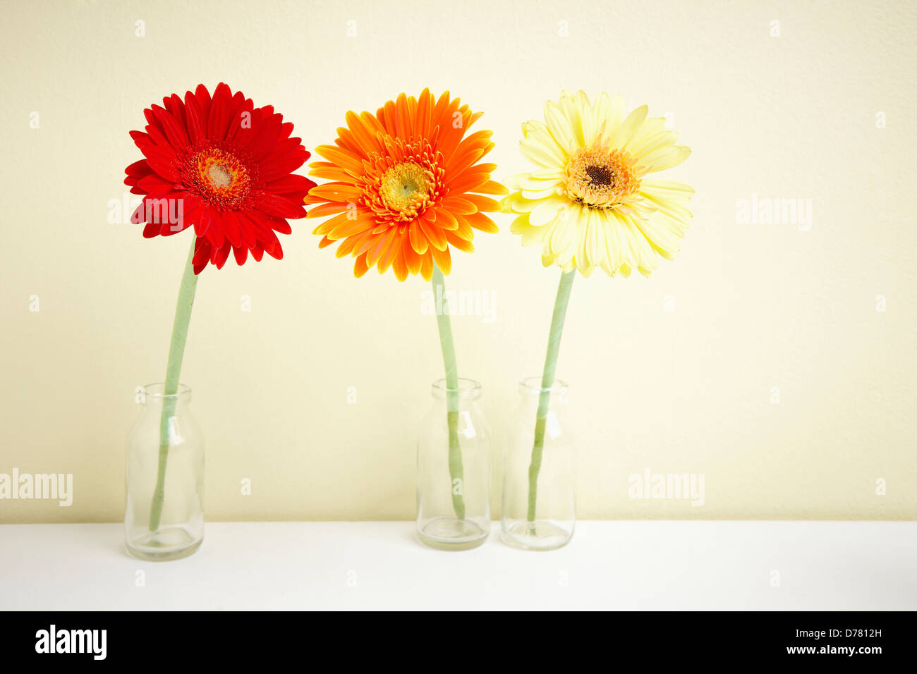 colourful sunflowers in separate glass vases Stock Photo Alamy