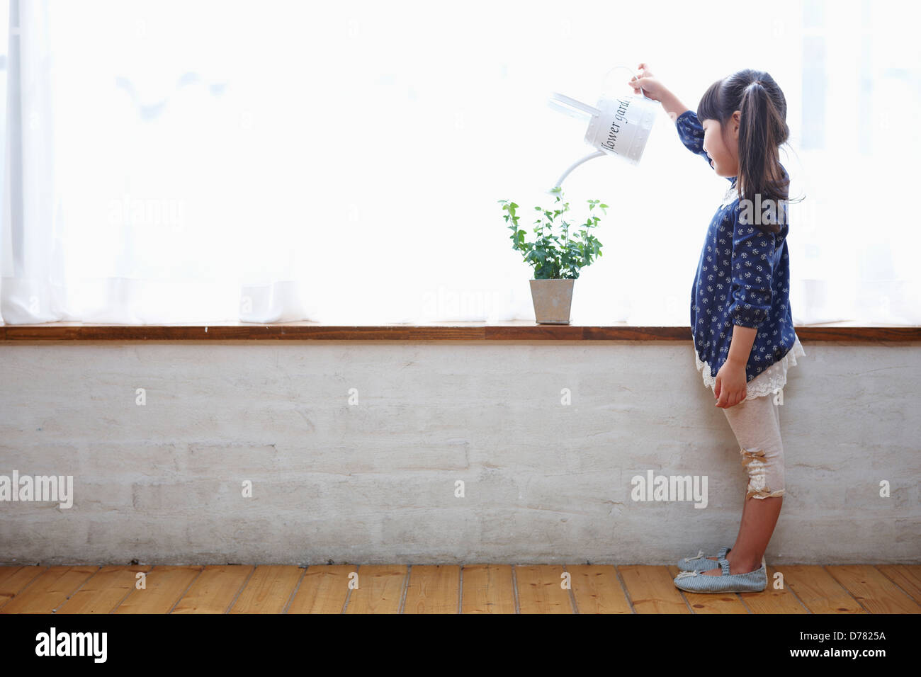 a girl watering a plant in a vase Stock Photo