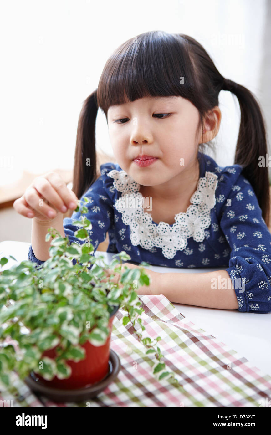 a girl touching a plant on table Stock Photo