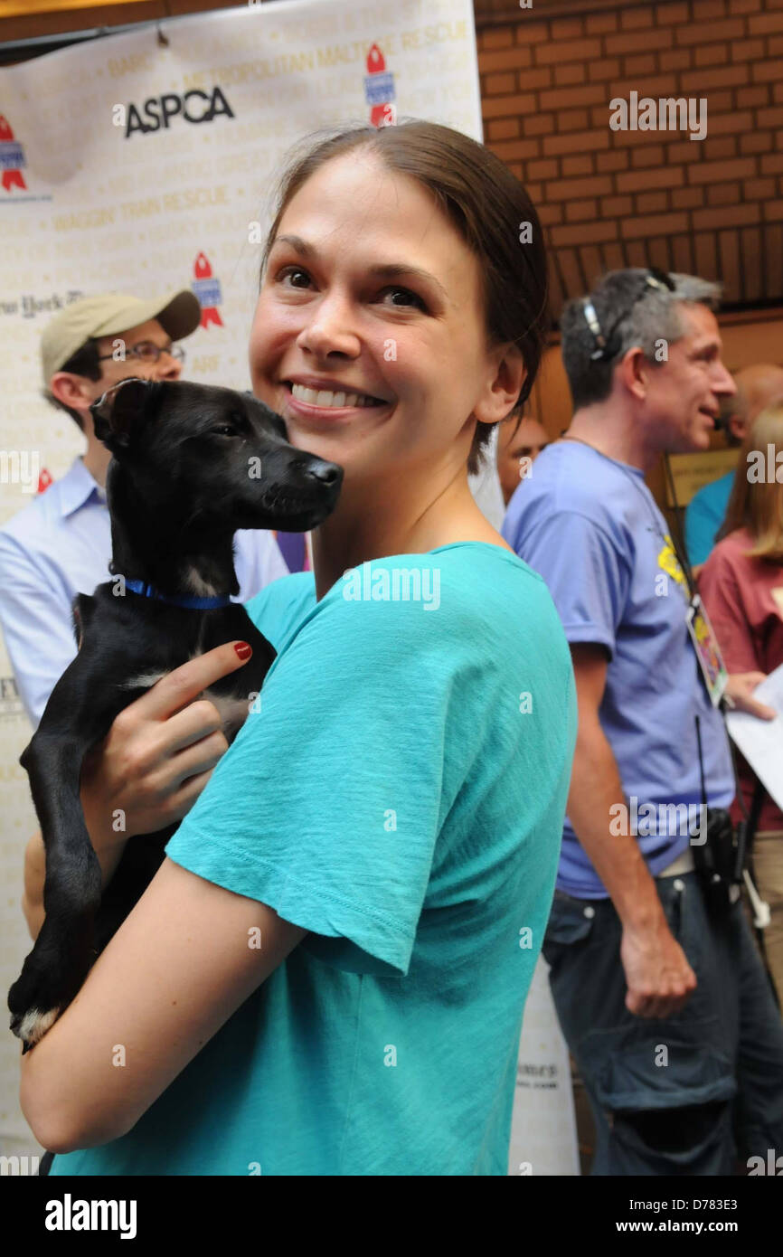 Sutton Foster Broadway Barks: The 13th Annual Dog and Cat Adopt-a-thon held in Shubert Alley New York City, USA - 09.07.11 Stock Photo