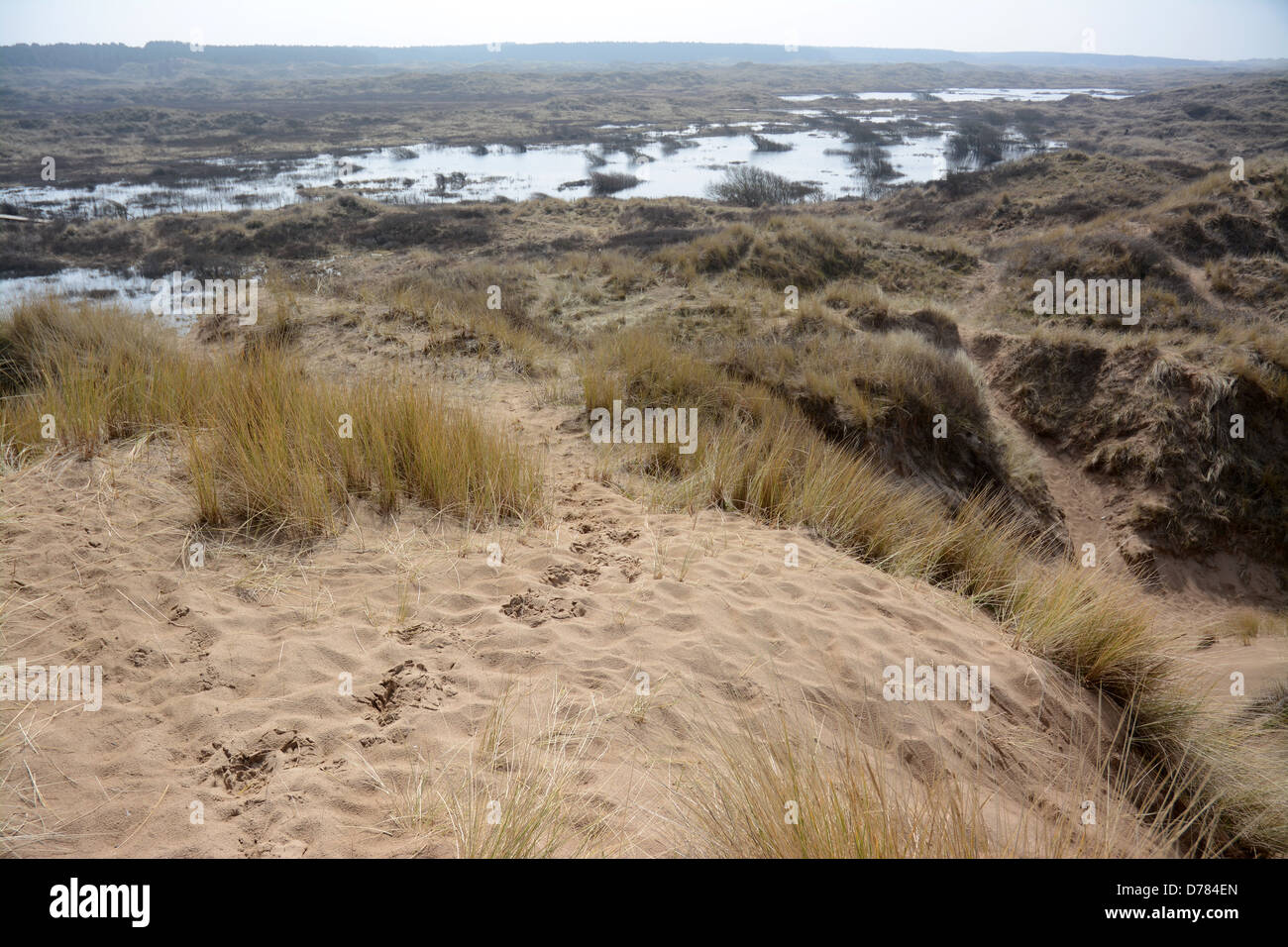 The Sefton Coast Special Area of Conservation covers 4,500 hectares of beach and dune habitats where seasonal ponds form Stock Photo