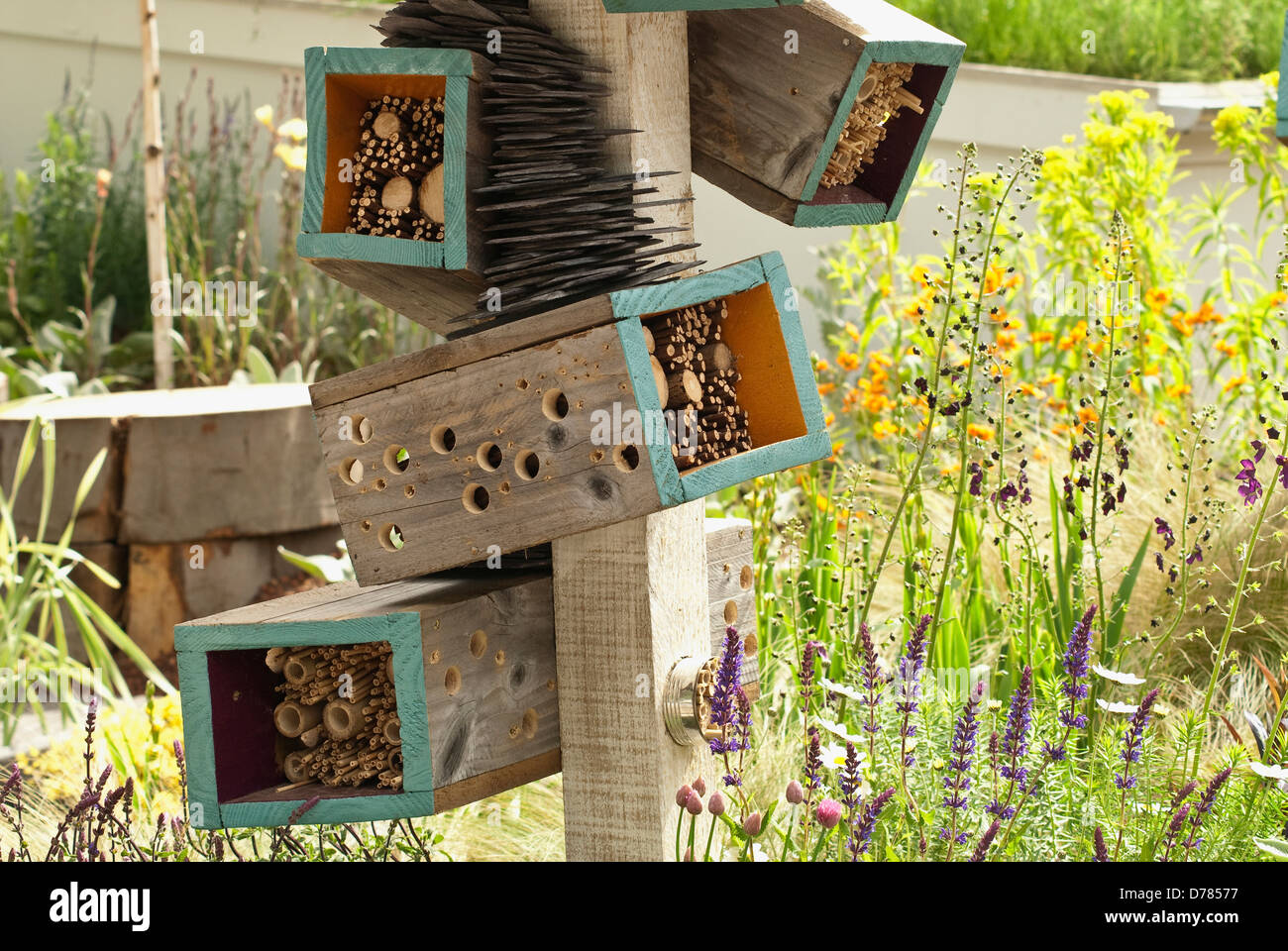 Insect Habitat High Resolution Stock Photography and Images Alamy