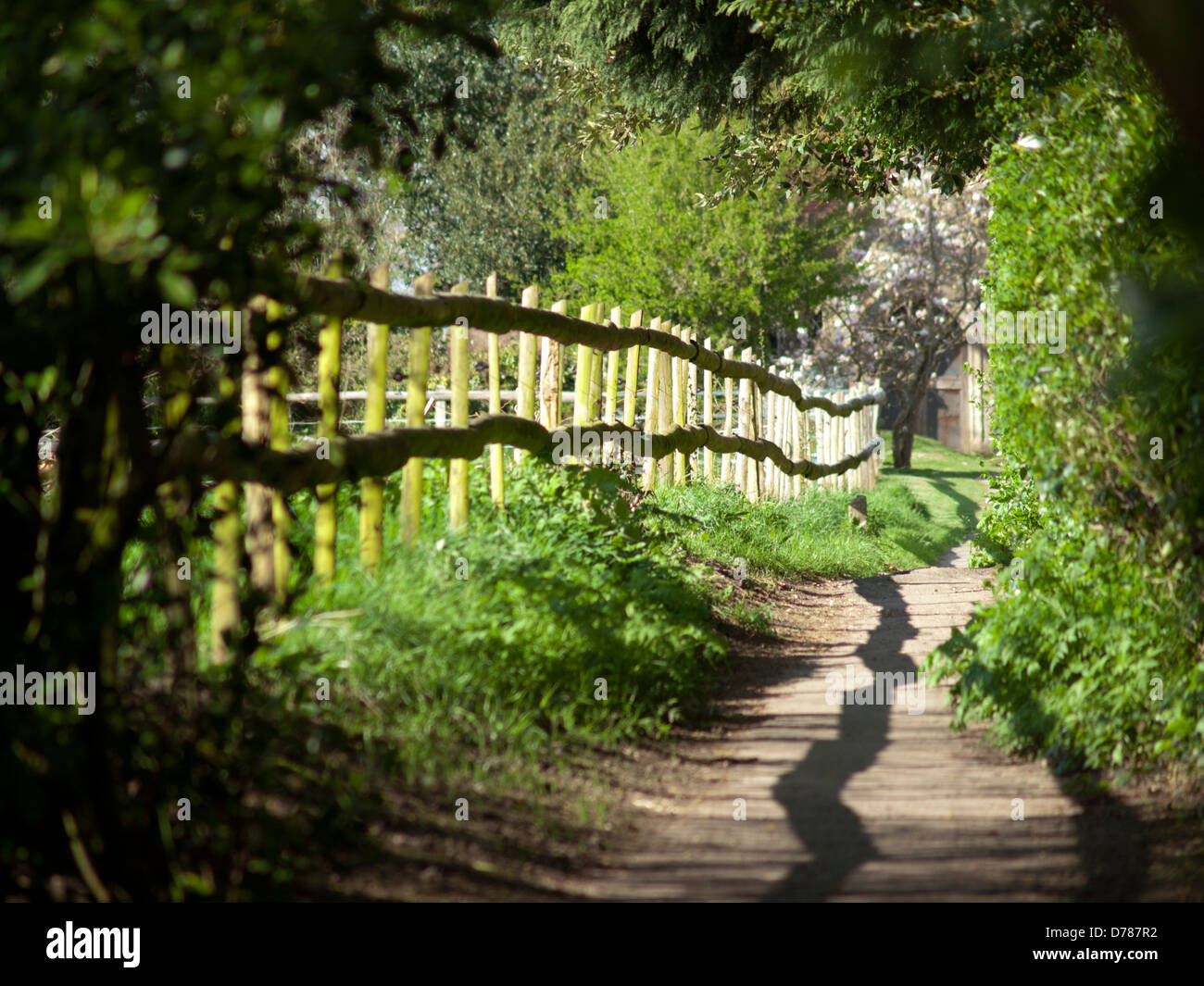 Countryside path lush green hi-res stock photography and images - Alamy