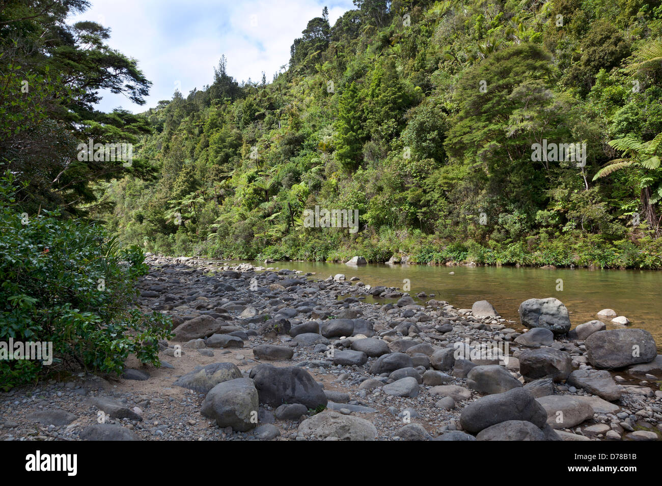 Whangaiterenga, Kauaeranga valley, Coromandel,New Zealand Stock Photo