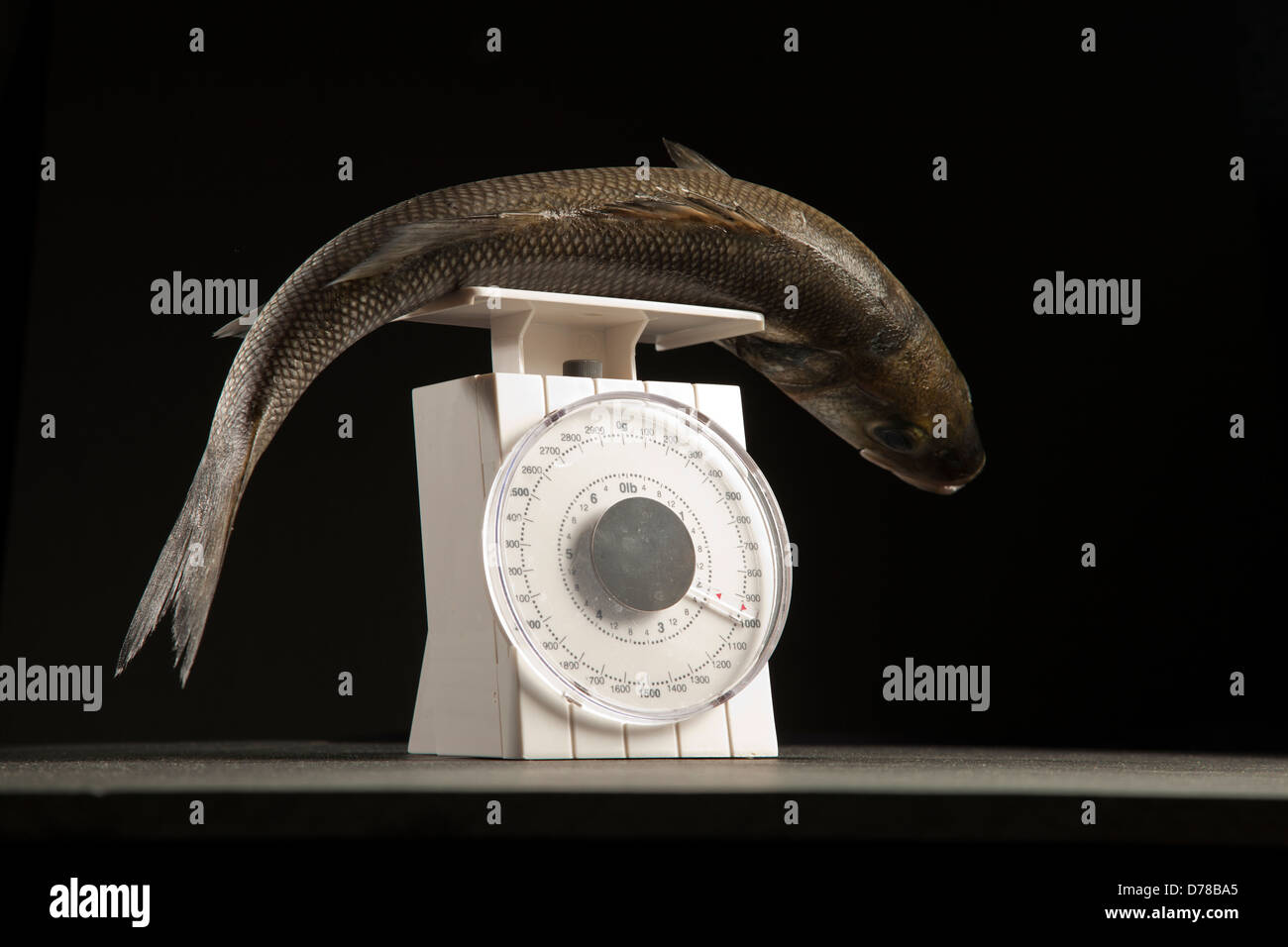 Metric scales hires stock photography and images Alamy