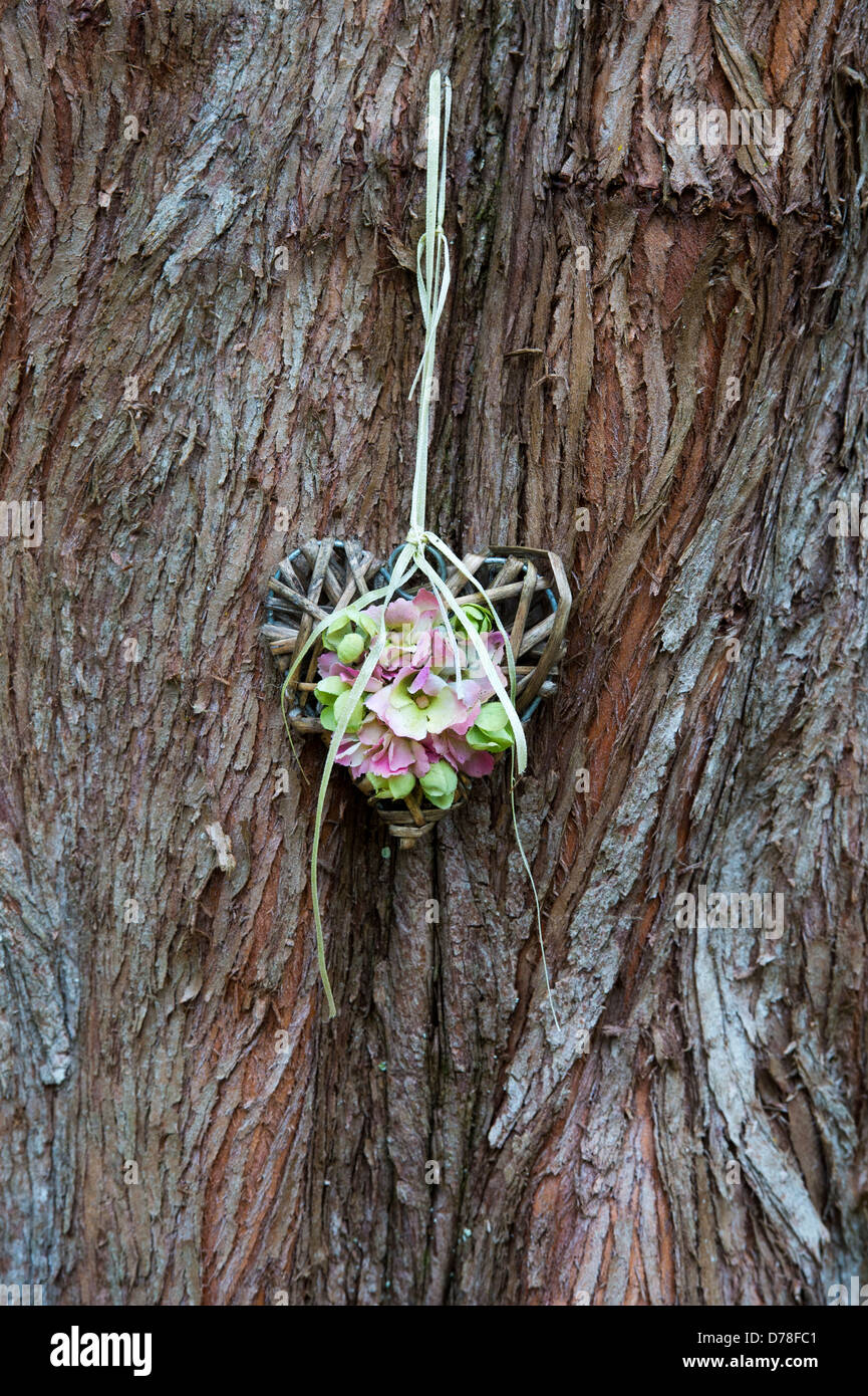 Metasequoia glyptostroboides. Wooden flower heart hanging on a Dawn Redwood tree trunk Stock Photo