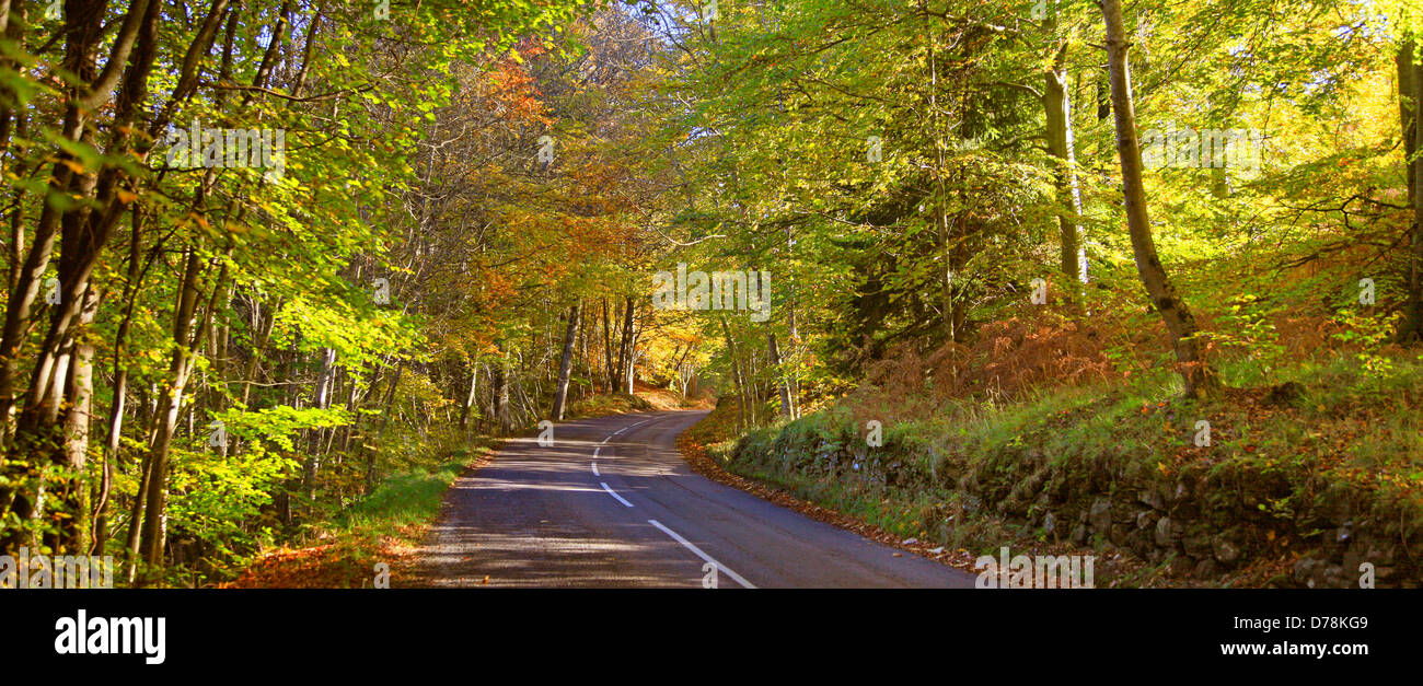 Sunlit tree linedautumnal road ,Near Dunkeld , Highland Perthshire, Scotland UK Stock Photo