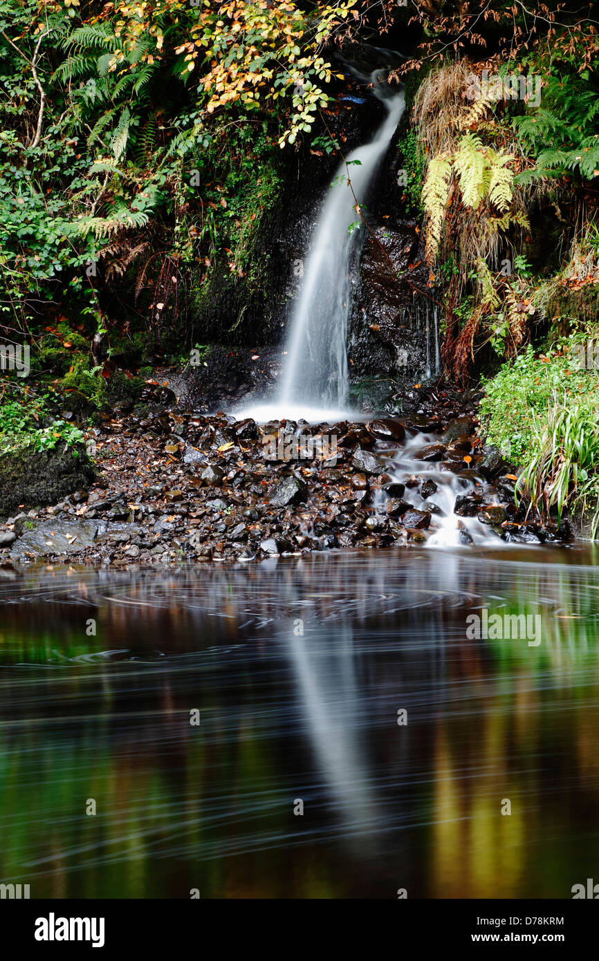Calm stream flowing on hi-res stock photography and images - Alamy