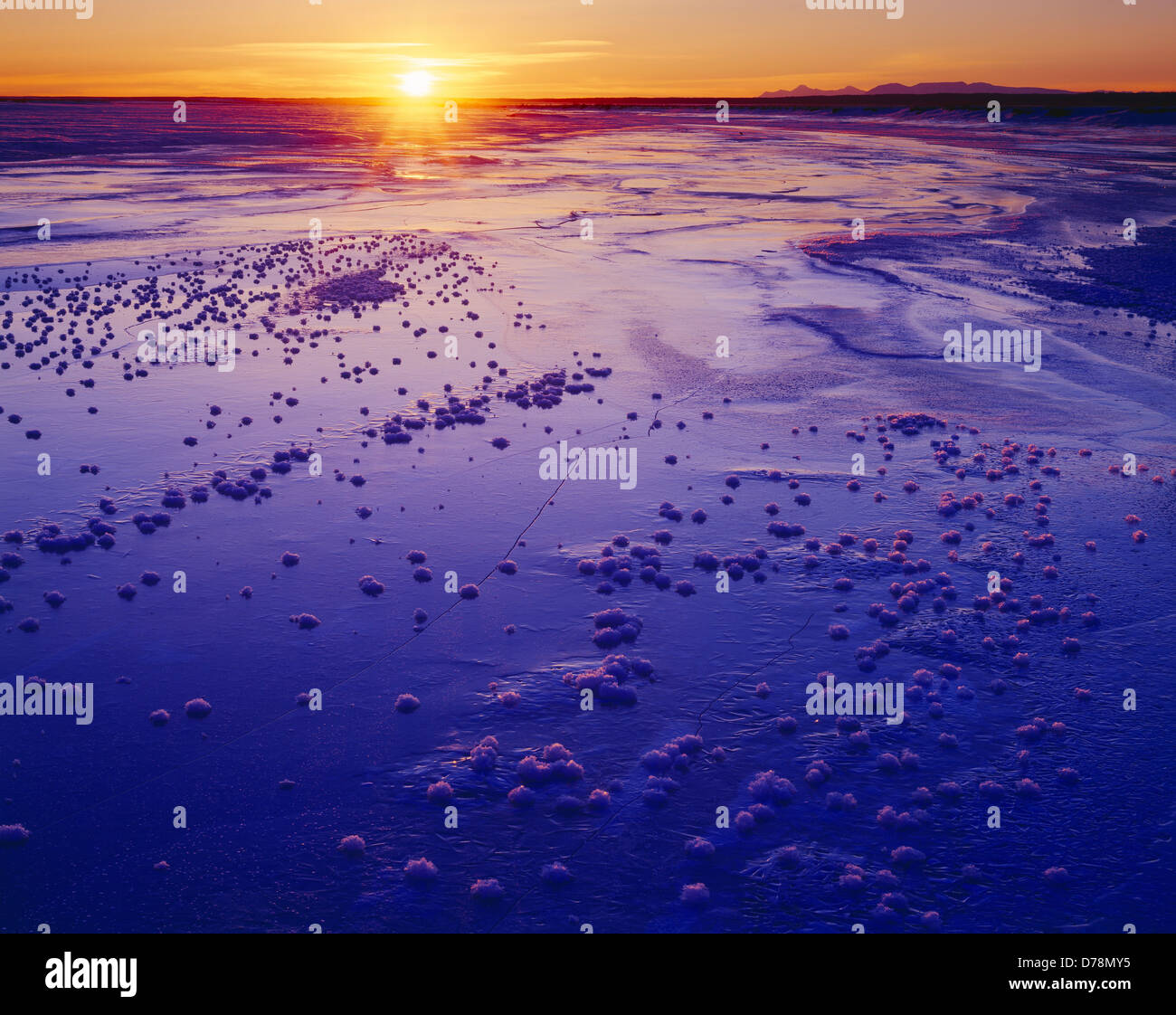 Sun setting over Cook Inlet frost rosettes on ice Palmer Slough Mount