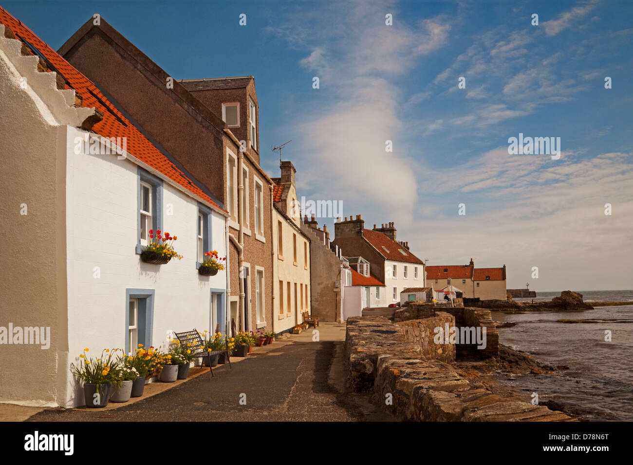 Cottages at West Shore, Pittenweem Stock Photo Alamy