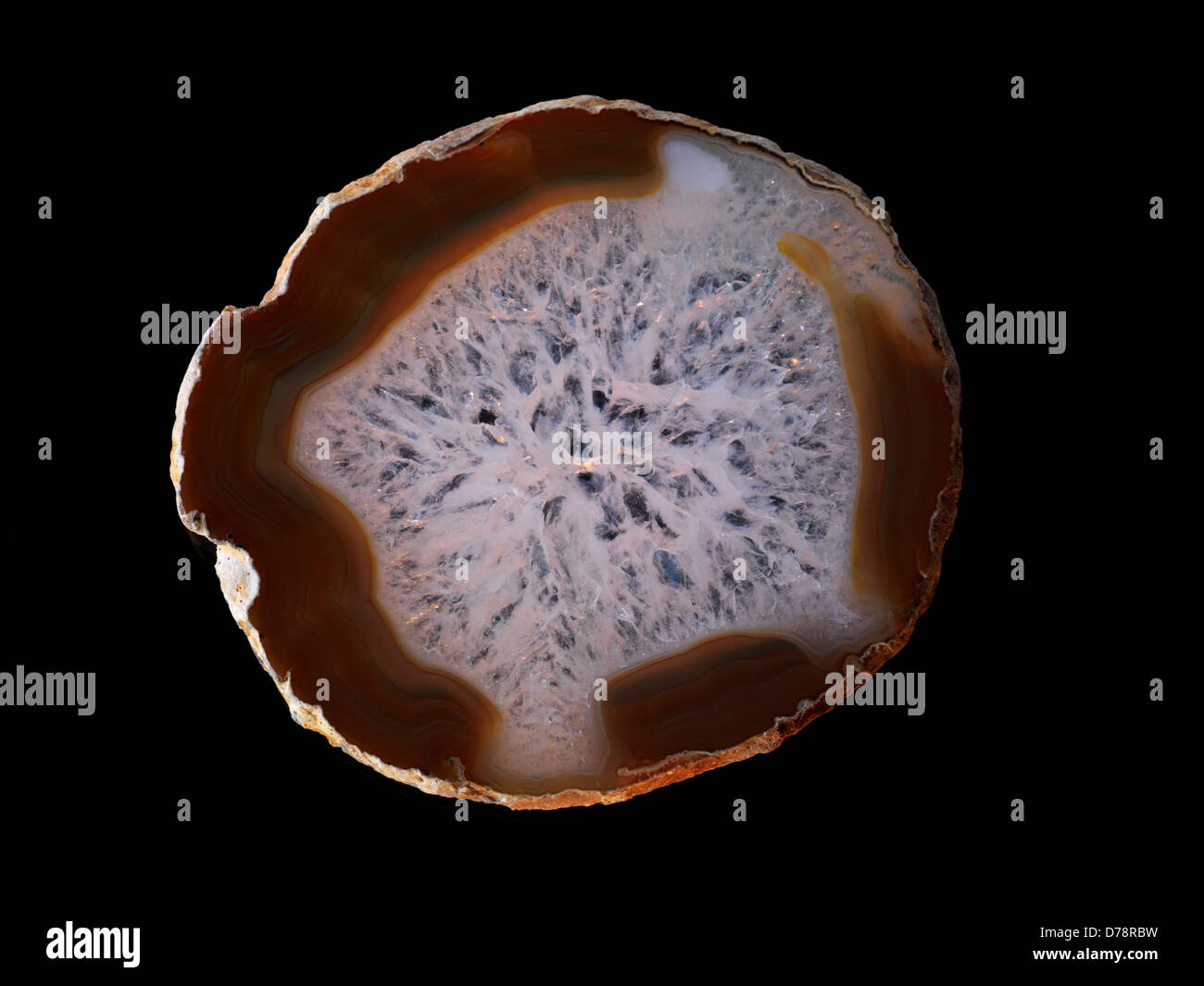 Polished slab Brazilian Agate Stock Photo Alamy