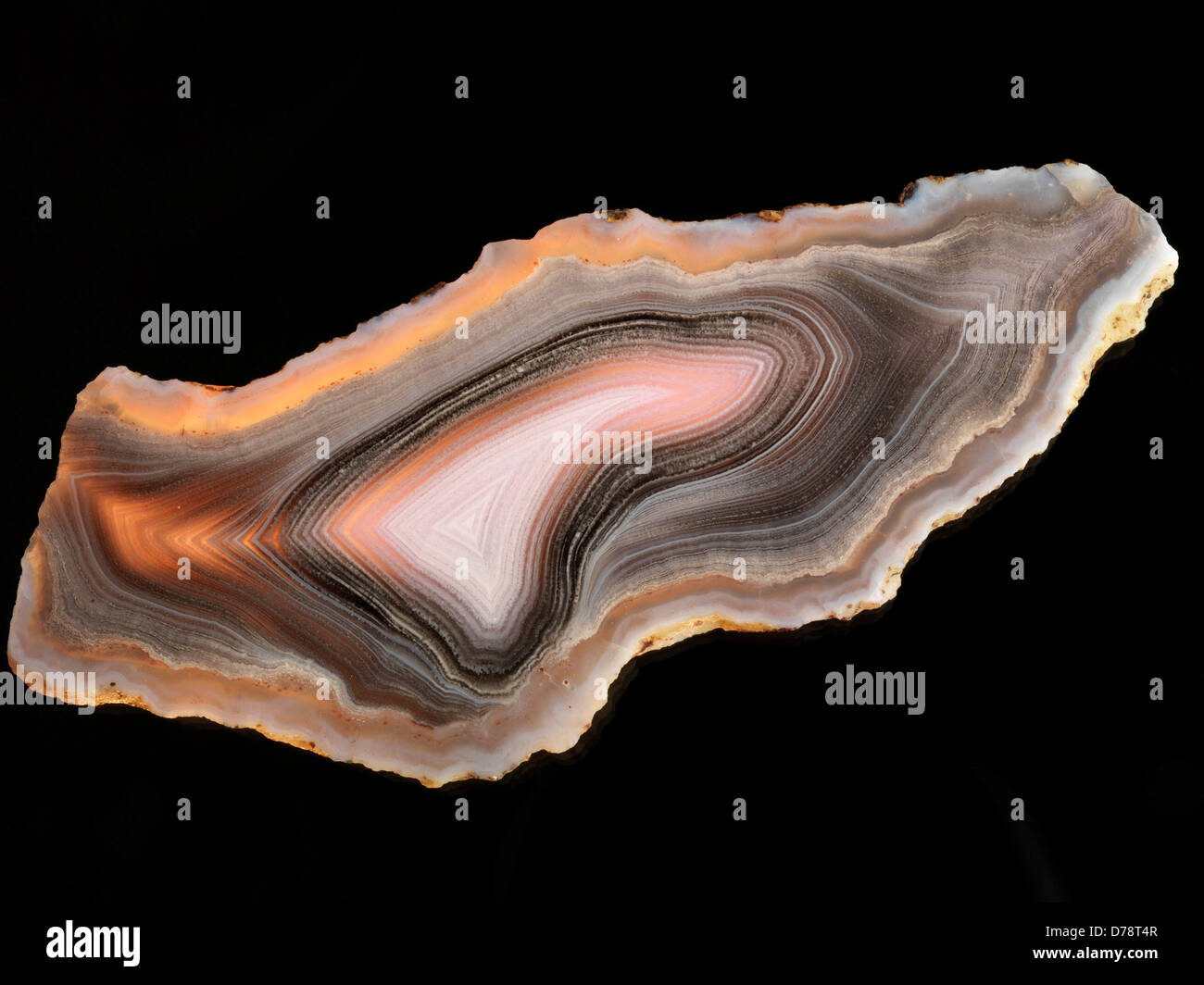 Extremely fine fortification banding pattern tiny white dots in classic Parcelas Agate Cerro El Oregano near Le Baron Chihuahua Stock Photo