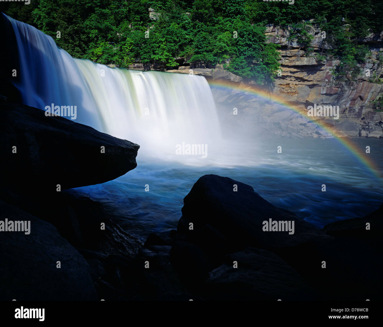 My Image 7