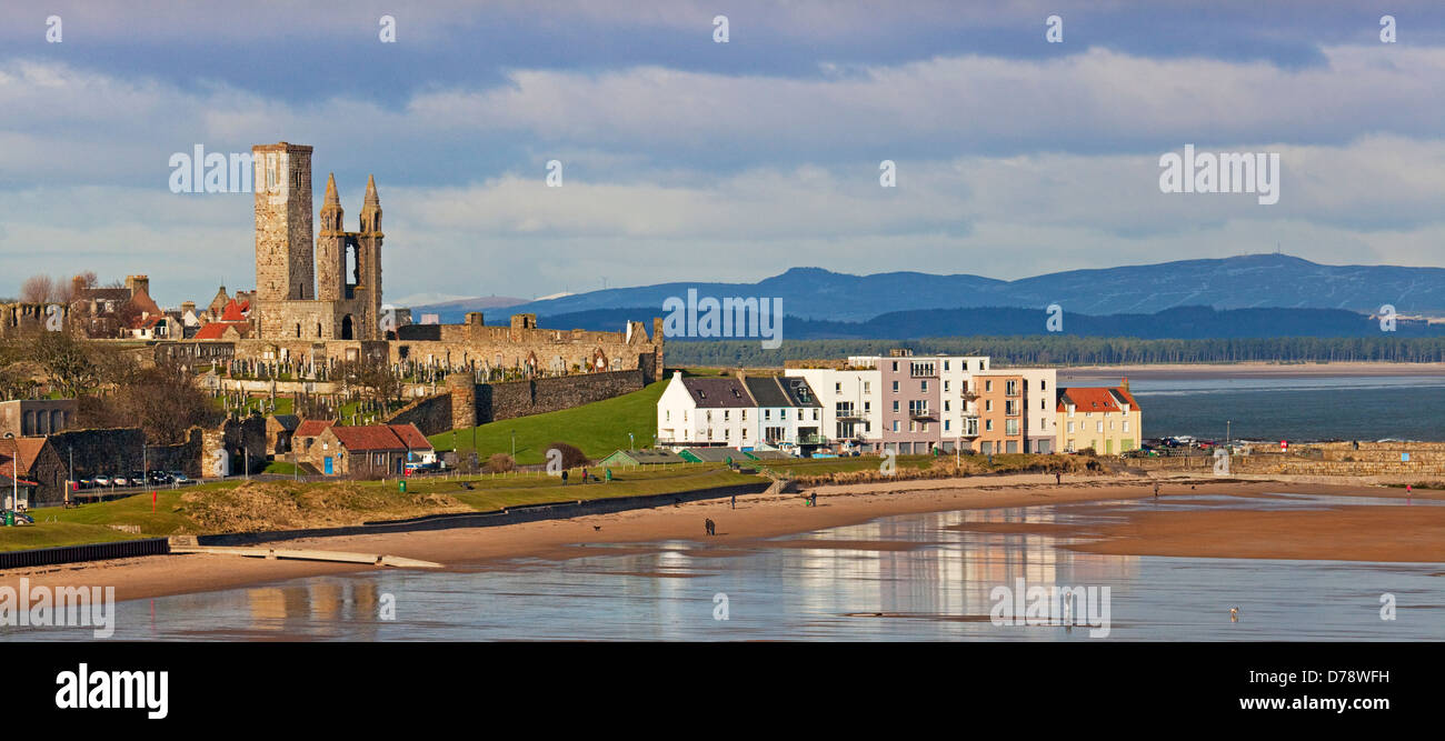 East Sands, St Andrews, showing the harbour buildings and cathedral. Stock Photo