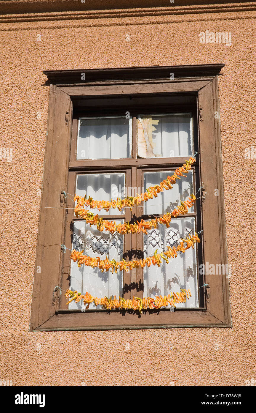 Turkey Aydin Province Kusadasi Strings of yellow orange chili peppers hanging from wooden window frame of house in old town to Stock Photo