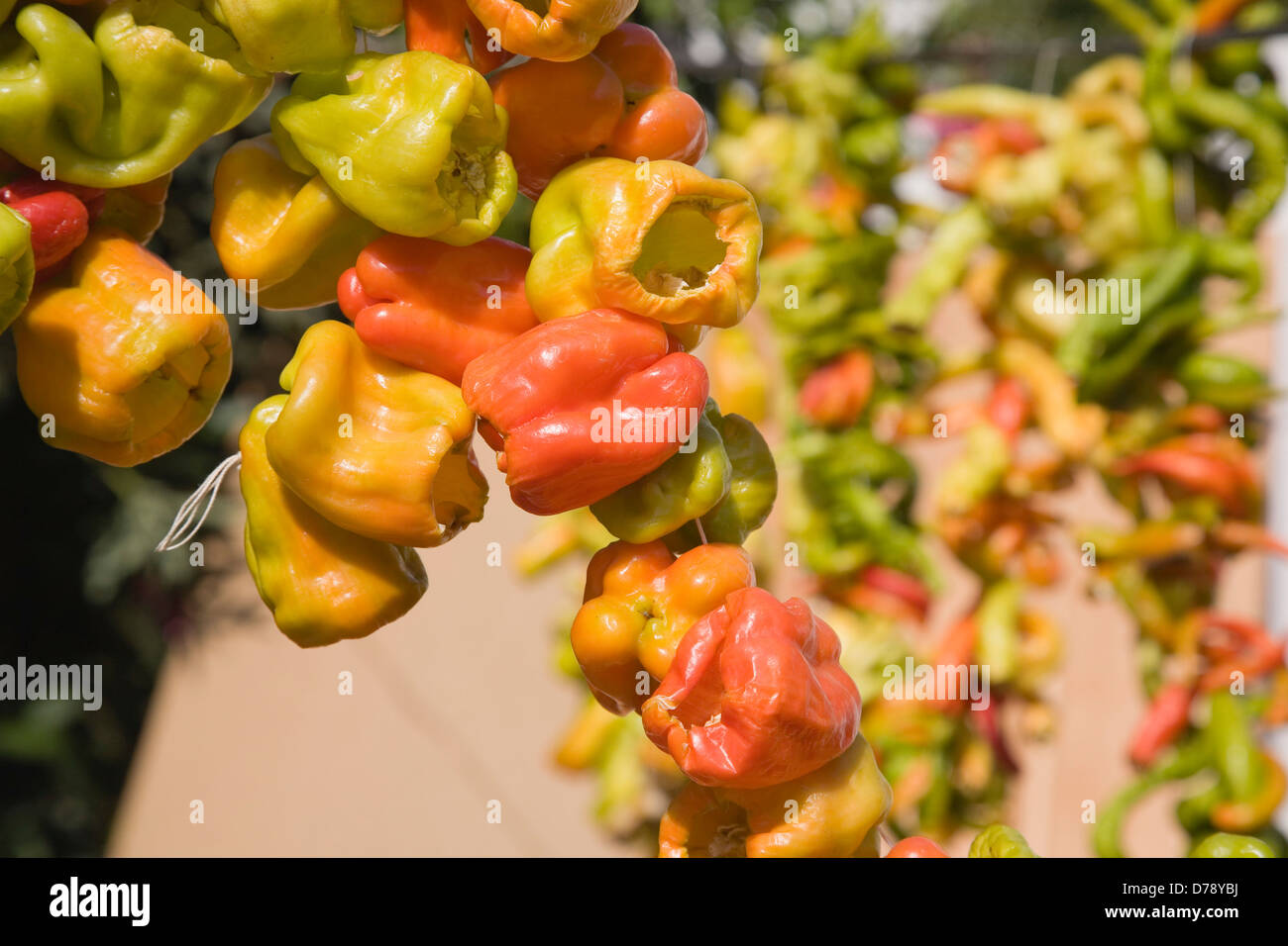 Turkey Izmir Province Selcuk Ephesus Strings of orange yellow green Capsicum annuum cultivars of chillies hanging up to dry in Stock Photo