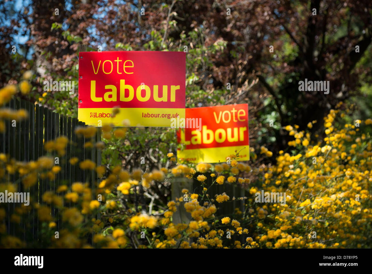 Labour party placard up in Cambridge for local elections Stock Photo