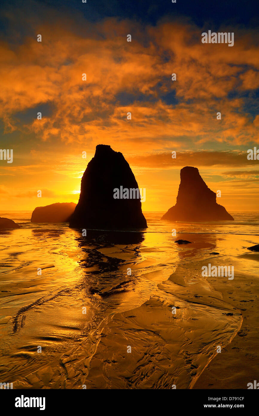 USA Oregon Bandon Face Rock Beach Scenic view sunrise Stock Photo - Alamy