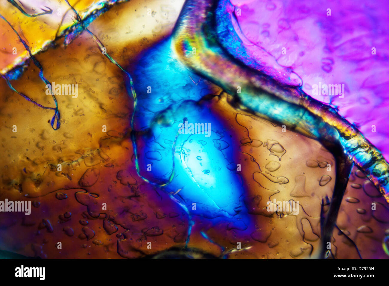 Light Graphics: Microphoto of translucent structures in polarized light ...