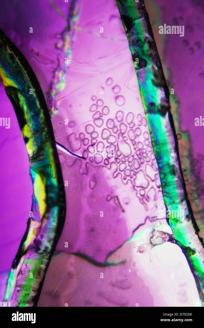 Light Graphics Microphoto of translucent structures in polarized light