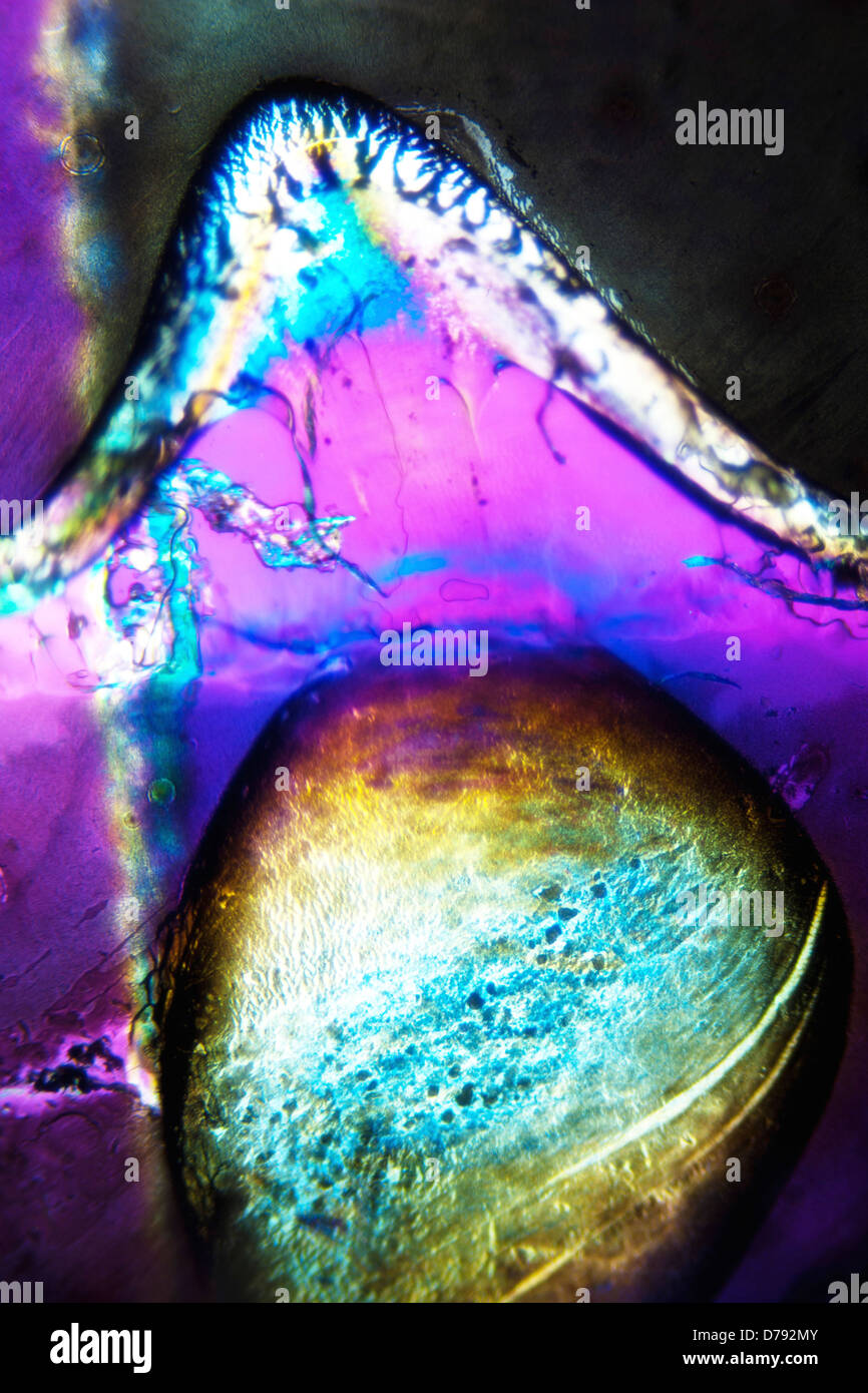 Light Graphics Microphoto of translucent structures in polarized light