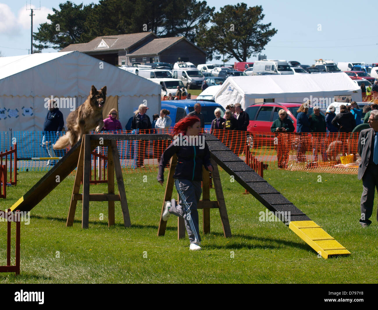 Dog agility competition at the Royal Cornwall Showground,The Cornwall