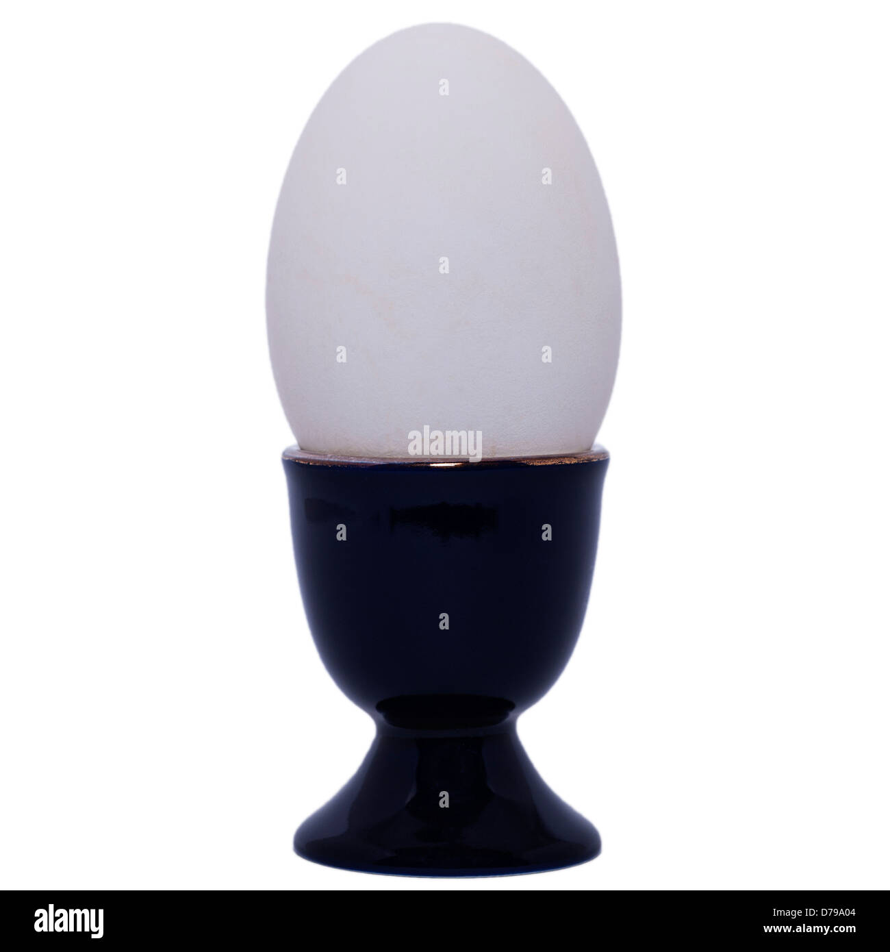 A Goose egg in an egg cup on a white background Stock Photo