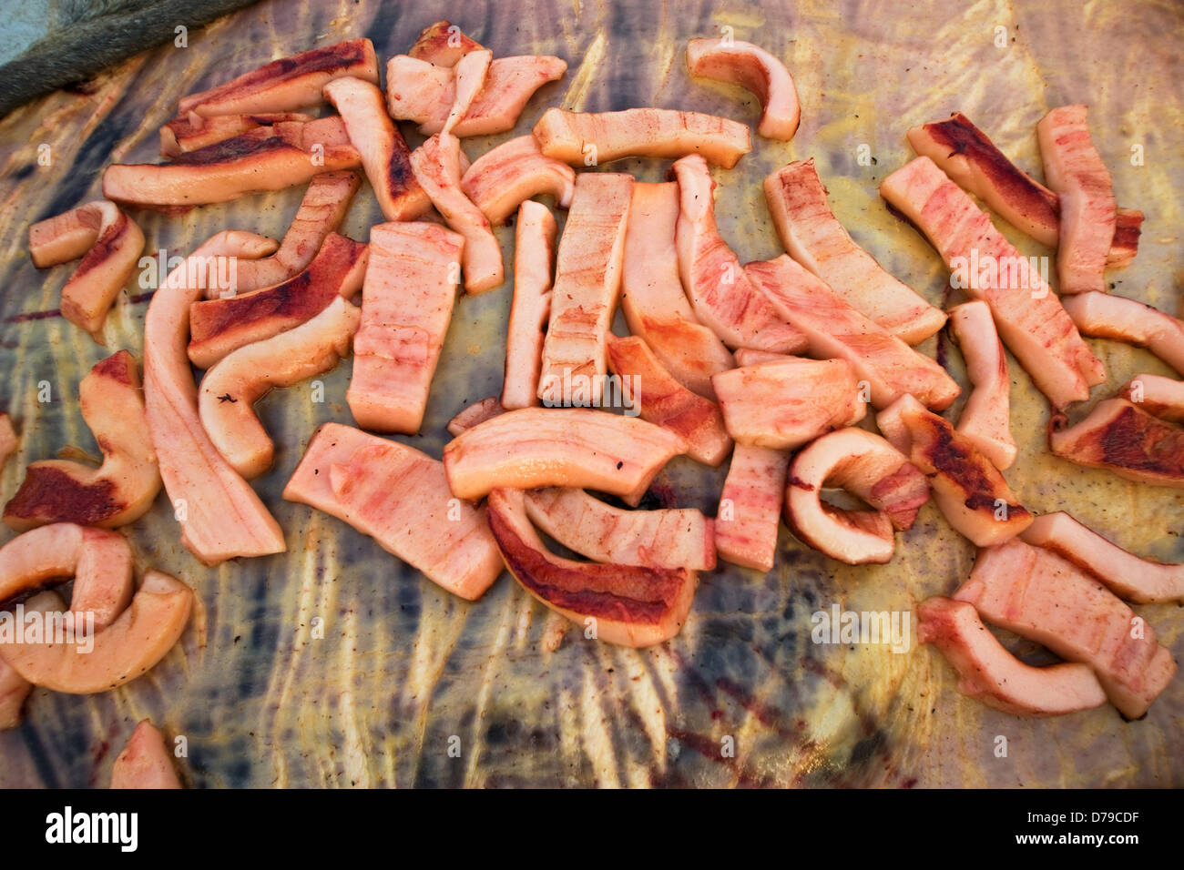 Bearded Seal Blubber Stock Photo Alamy
