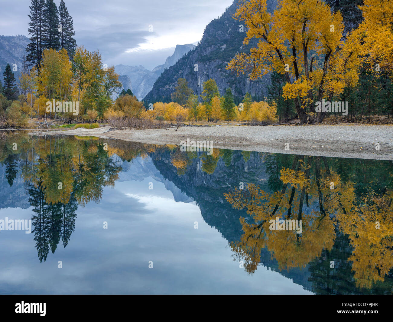 Yosemite National Park, California Fall colors in Yosemite Valley with ...