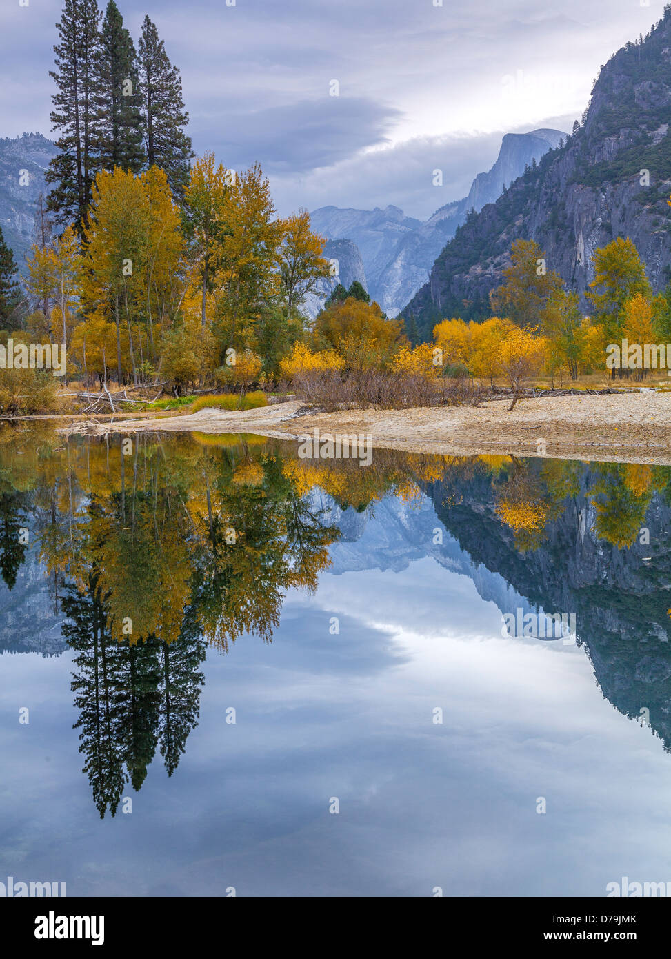 Yosemite National Park, California Fall colors in Yosemite Valley with ...