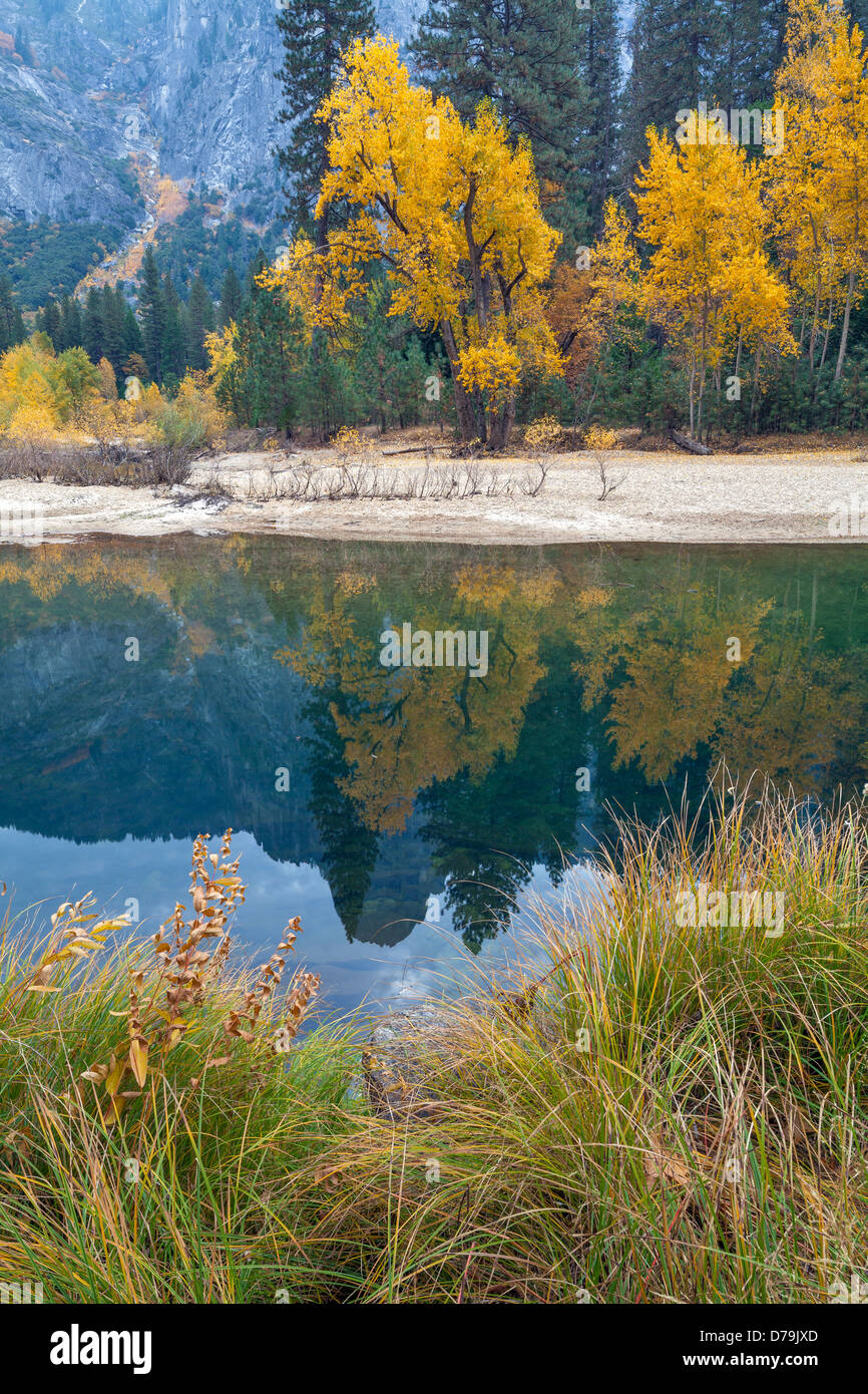 Yosemite National Park, California: Fall colors in Yosemite Valley with ...