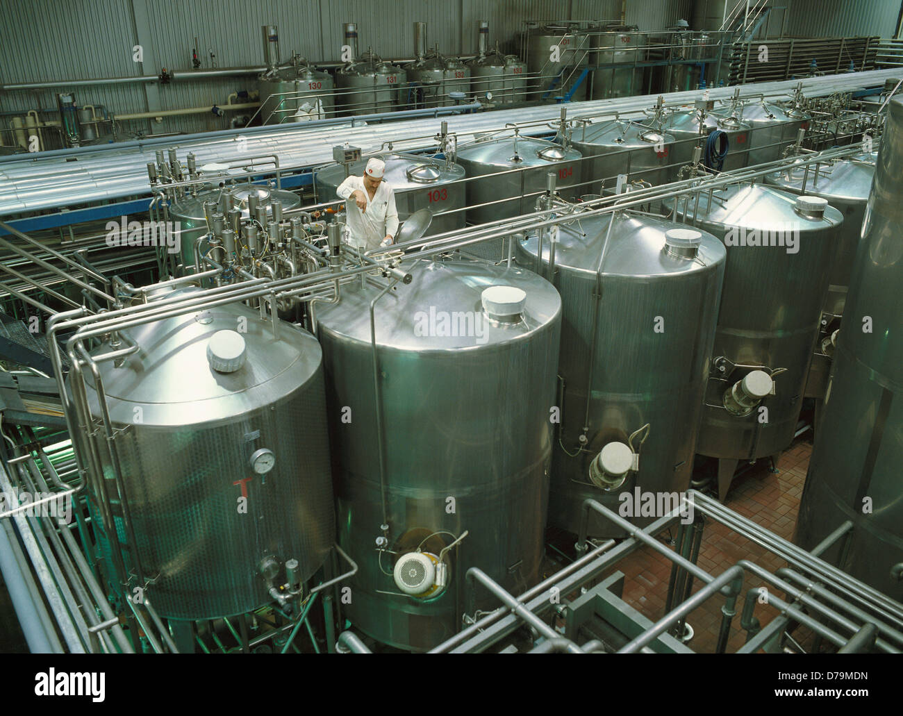 Factory incubation tanks in which yogurt matured by adding cultures