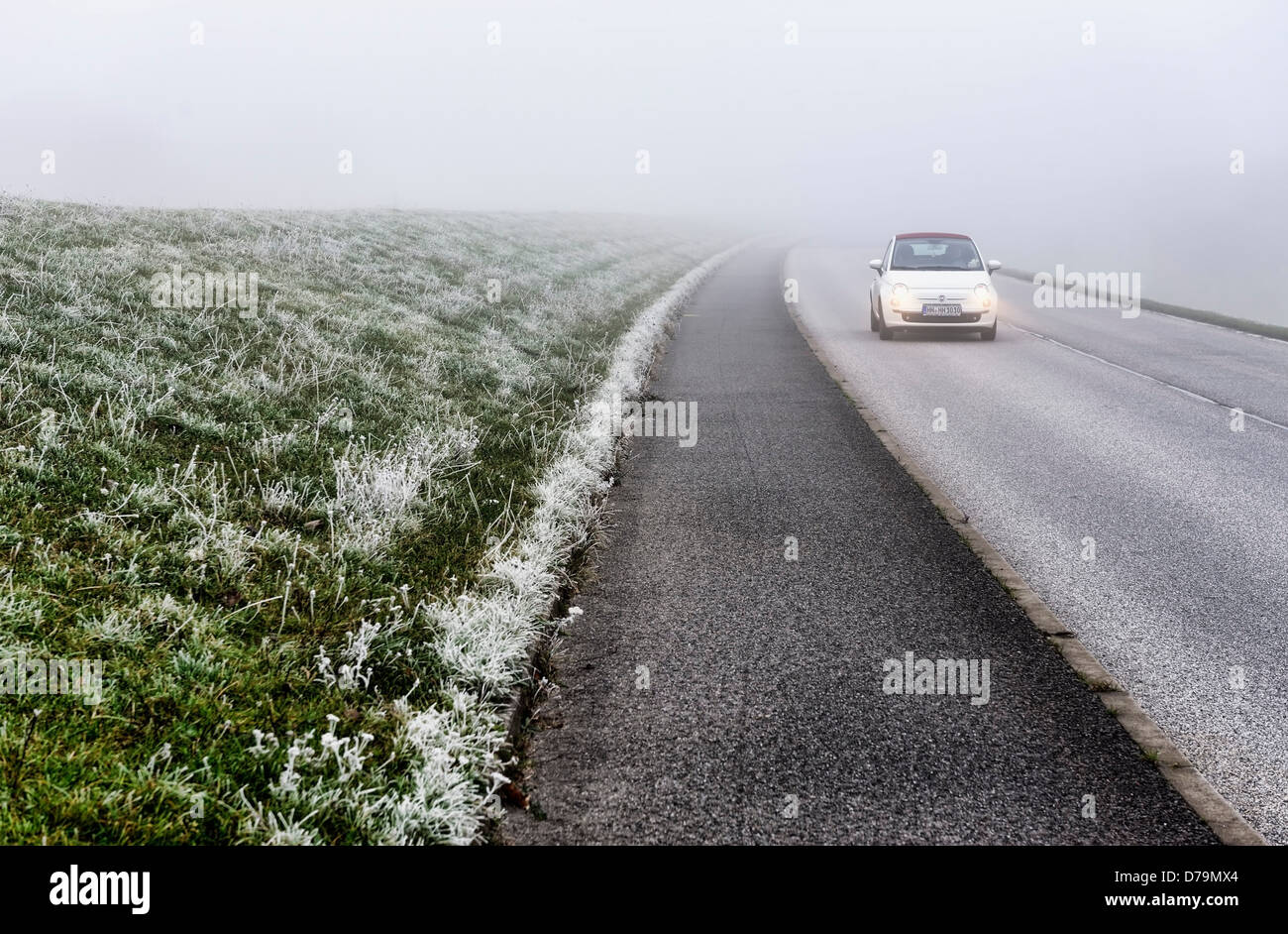 Misty Deichstrasse in Kirchwerder, 4 and marshy land, Hamburg, Germany, Europe (car registration changed) , Neblige Deichstraße Stock Photo