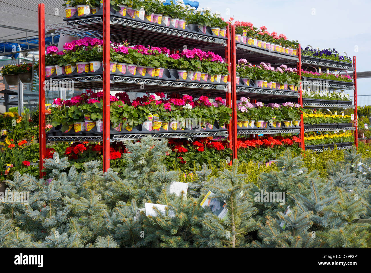 Potted plants display hi-res stock photography and images - Alamy