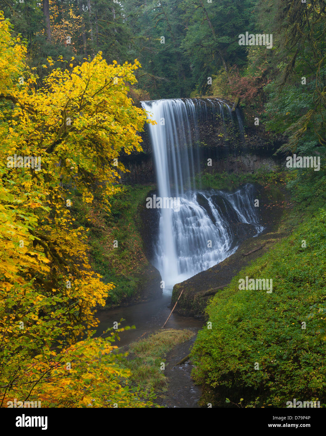 Silver Falls State Park, OR Middle North Falls (106 ft) in Silver