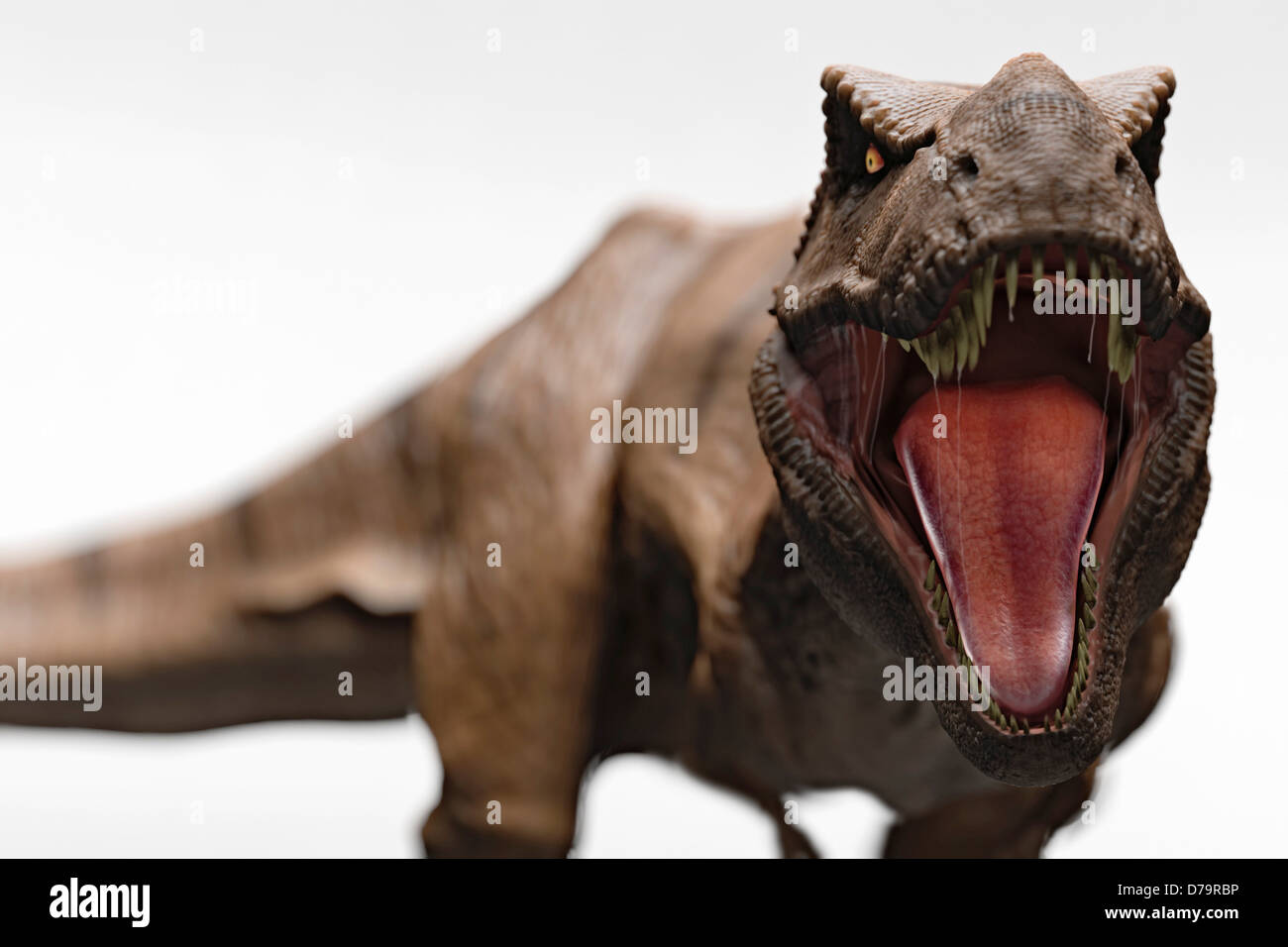 Тирекс динозавр. Тираннозавр ти рекс. Как рычит динозавр. Тираннозавр анфас. Тираннозавр ти рекс.