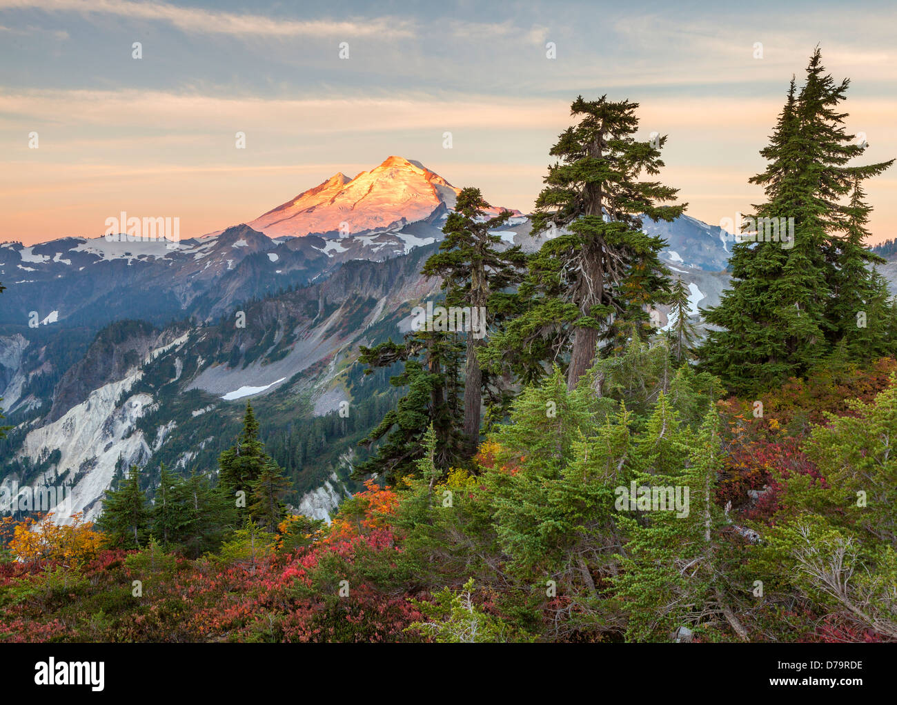 Mount Baker-Snoqualmie National Forest, WA: Mount Baker from Artists Ridge Trail, at sunrise Stock Photo