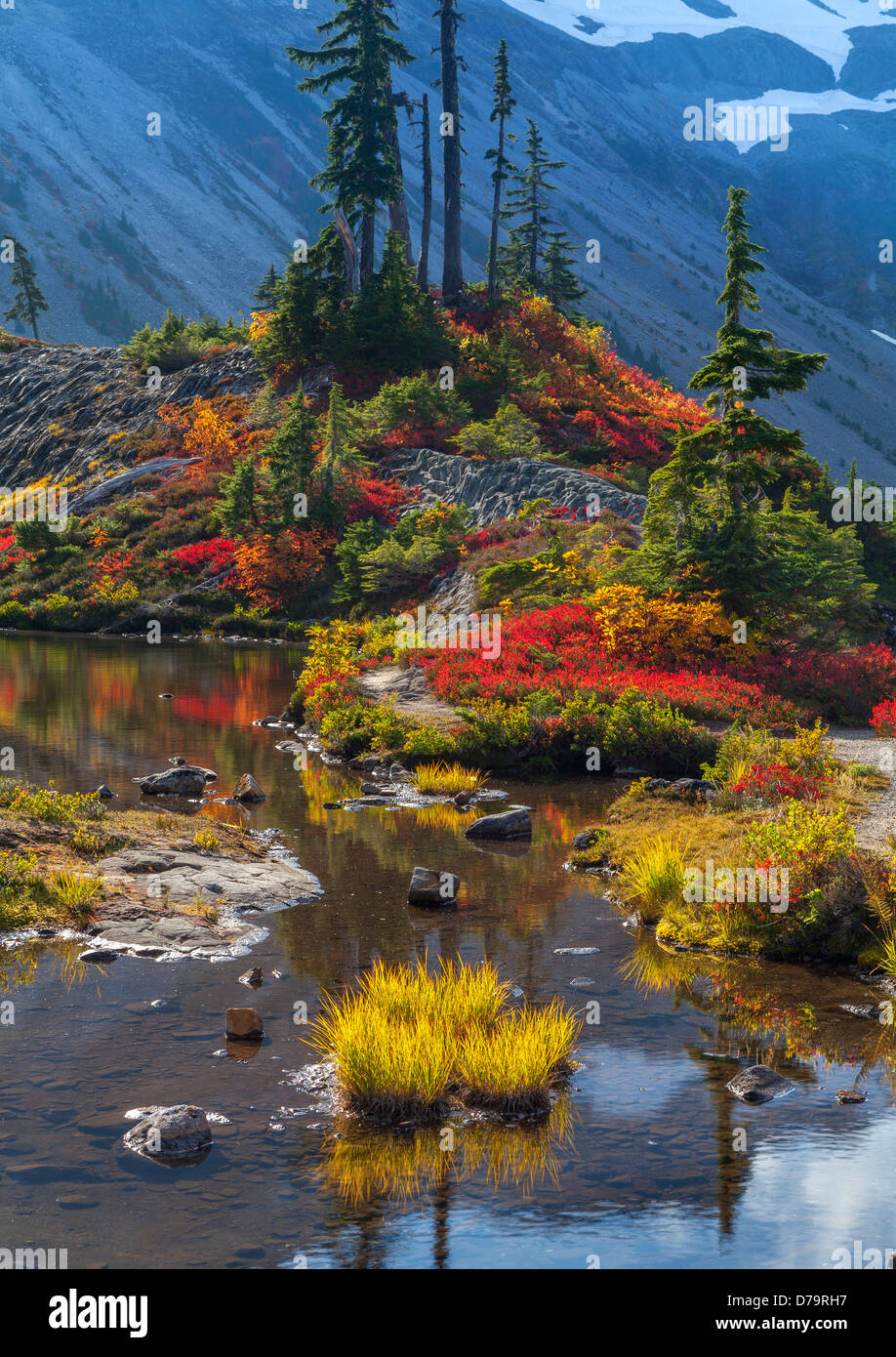 Mt Baker Snoqualmie National Forest Mount Baker-Snoqualmie National Forest, Washington Fall colors around an alpine tarn at Heather Meadows Stock Photo - Alamy