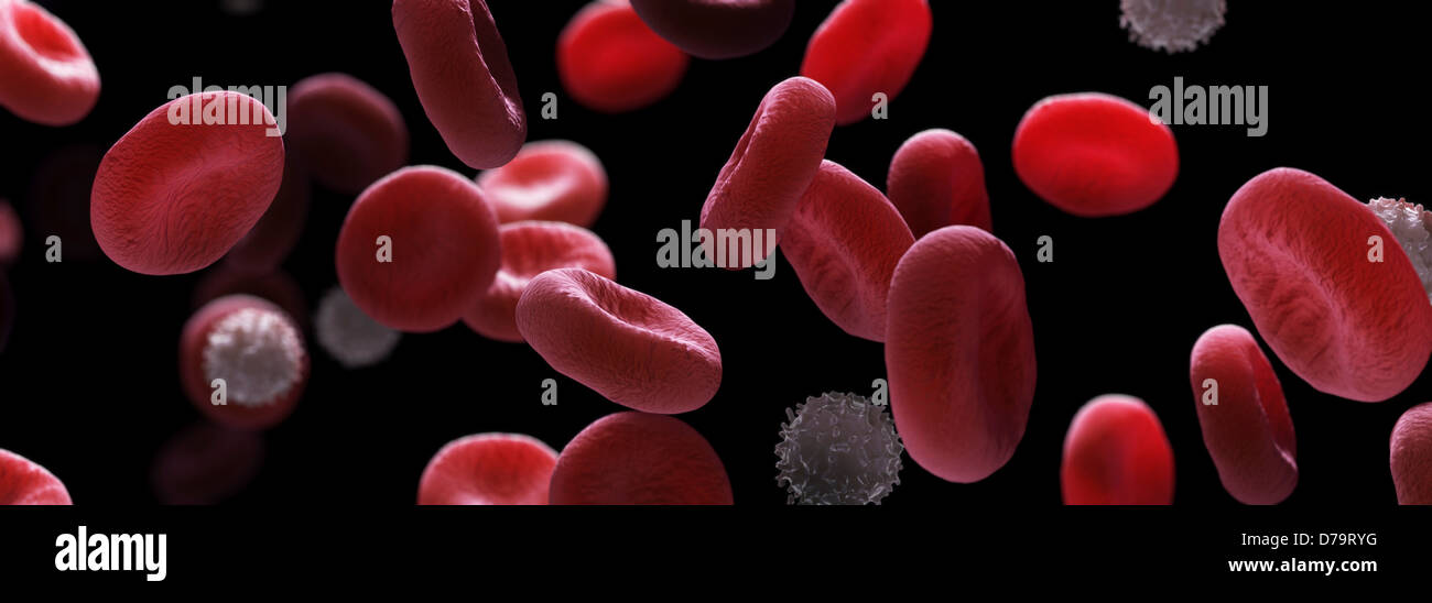 Black and white cells hi-res stock photography and images - Alamy