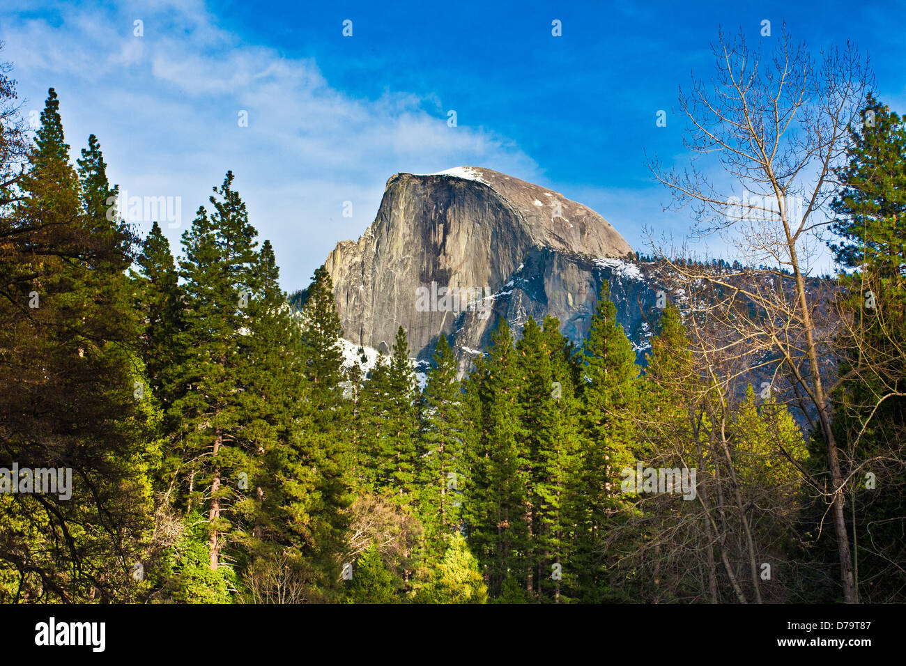 Half Dome Rock , the Landmark of Yosemite National Park,California Stock Photo