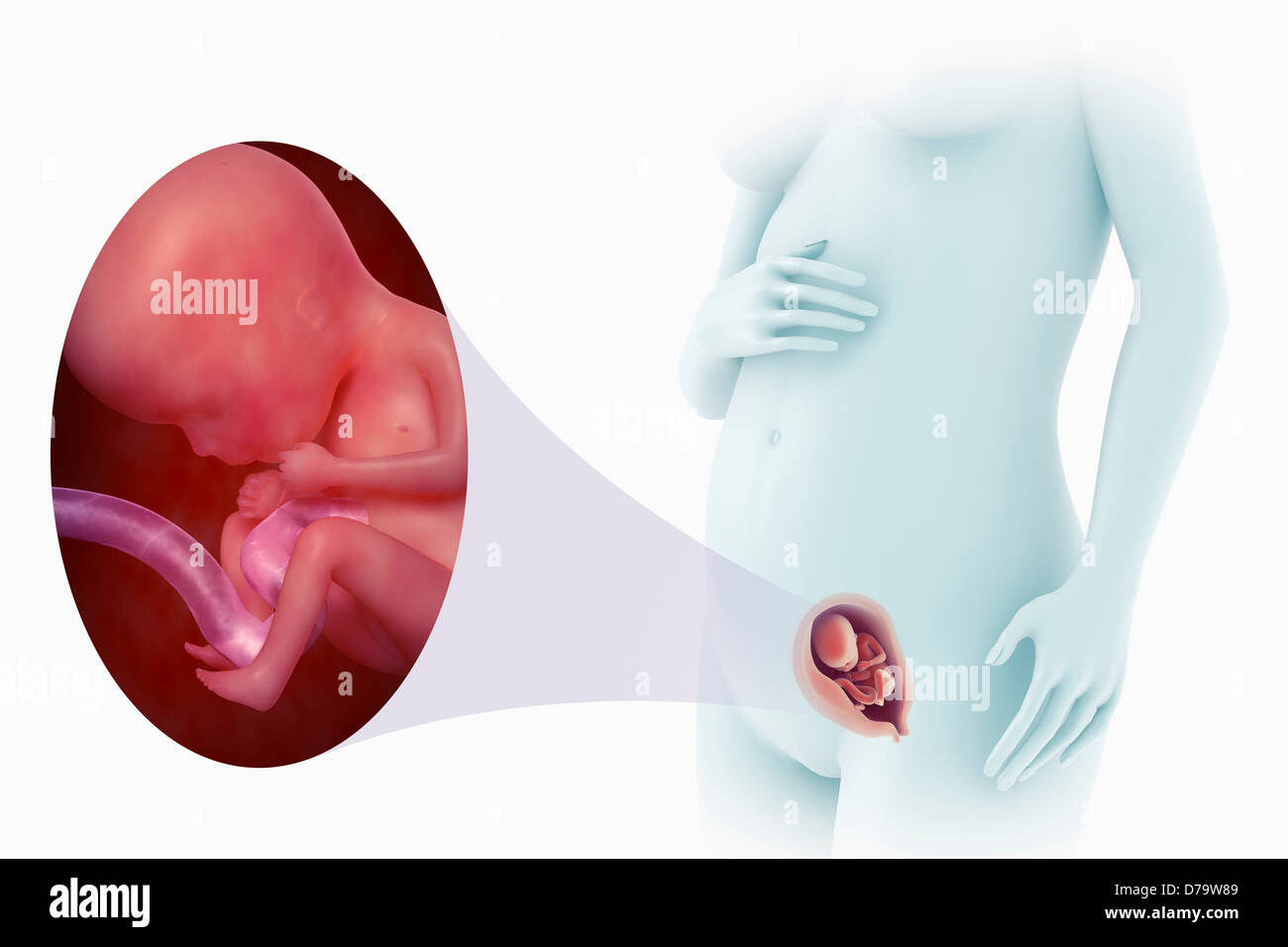 беременность 6 недель ощущения в груди фото 2