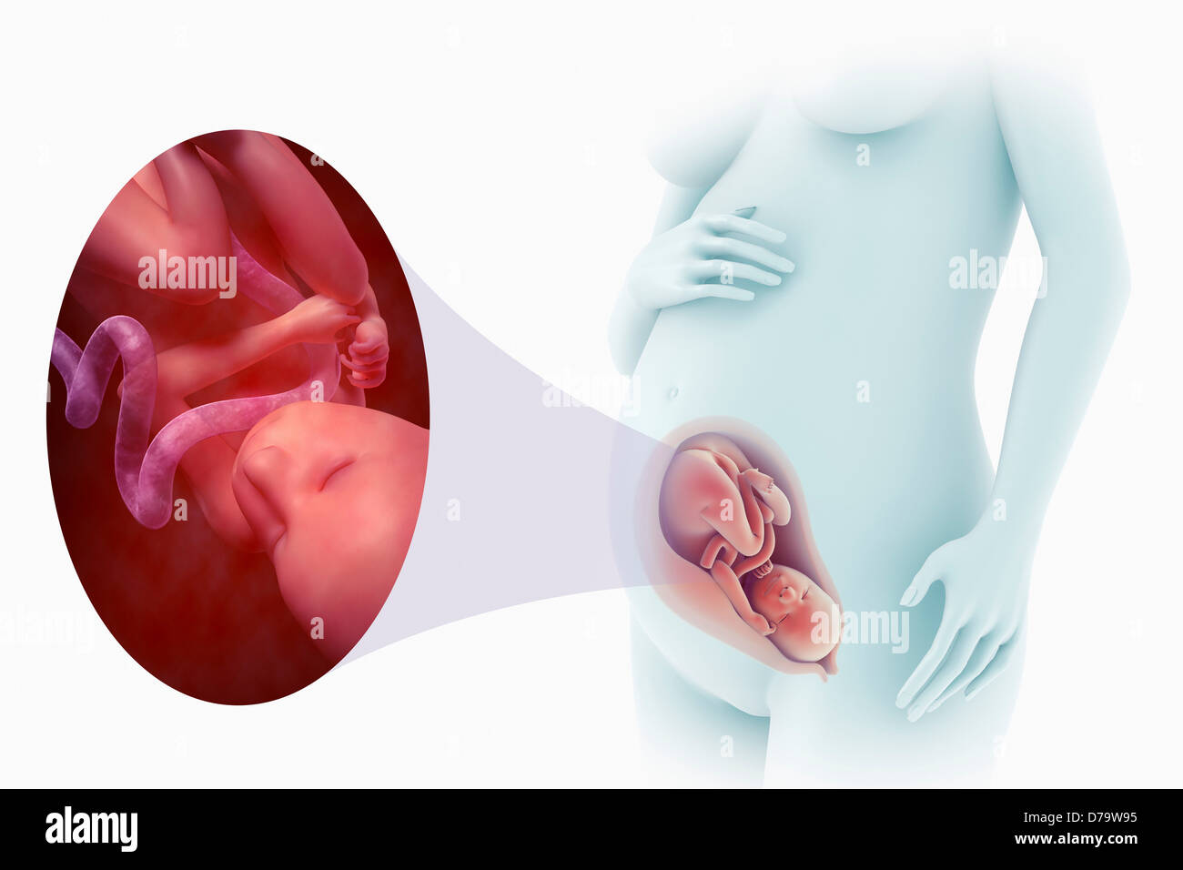 35 неделя беременности фото. Шевеления ребенка на 35 неделе беременности. 35 неделя слабость. 35 неделя слабость. Опустился живот на 35 неделе беременности.