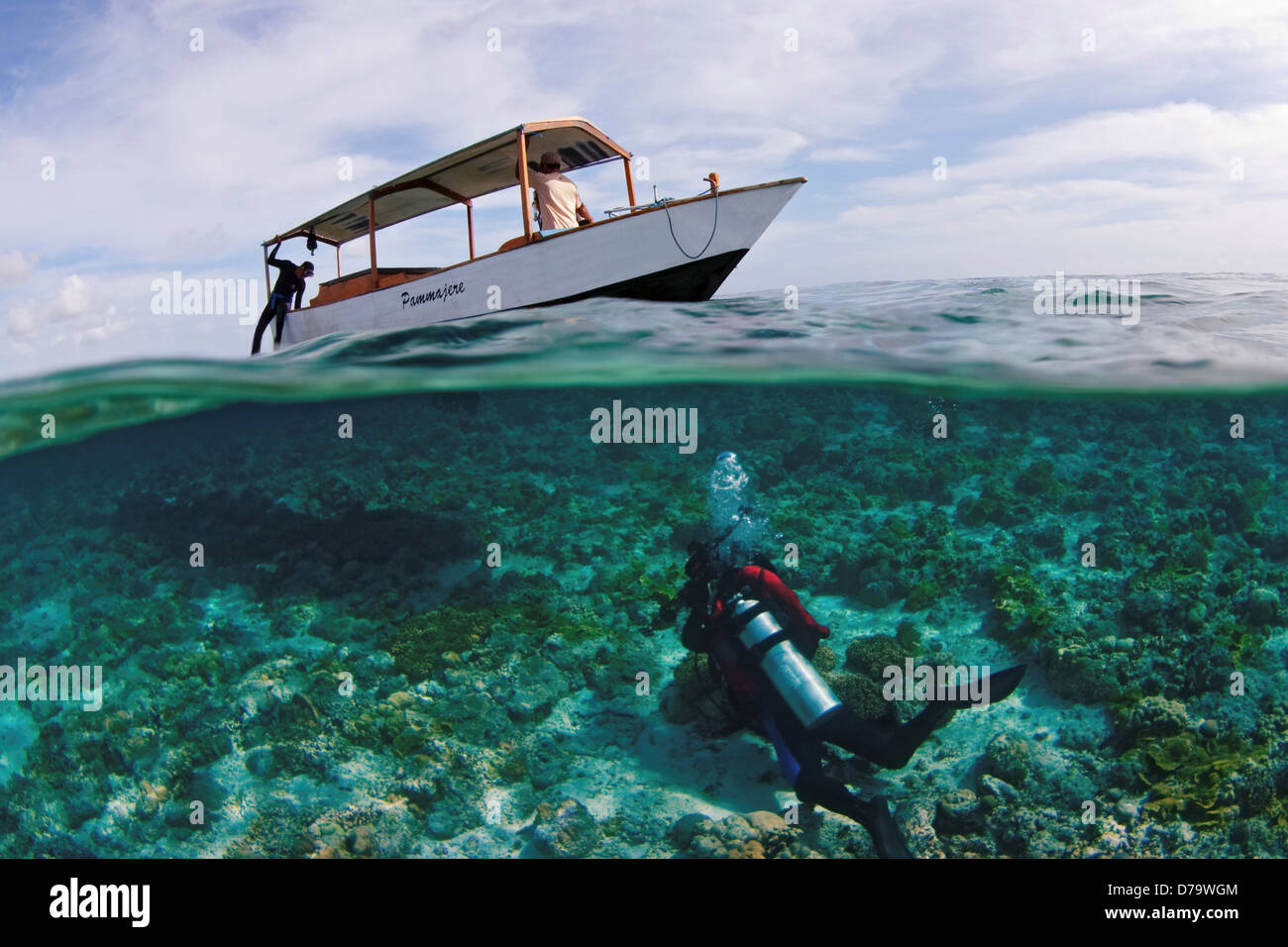 Diver Returning to Dive Boat Stock Photo Alamy